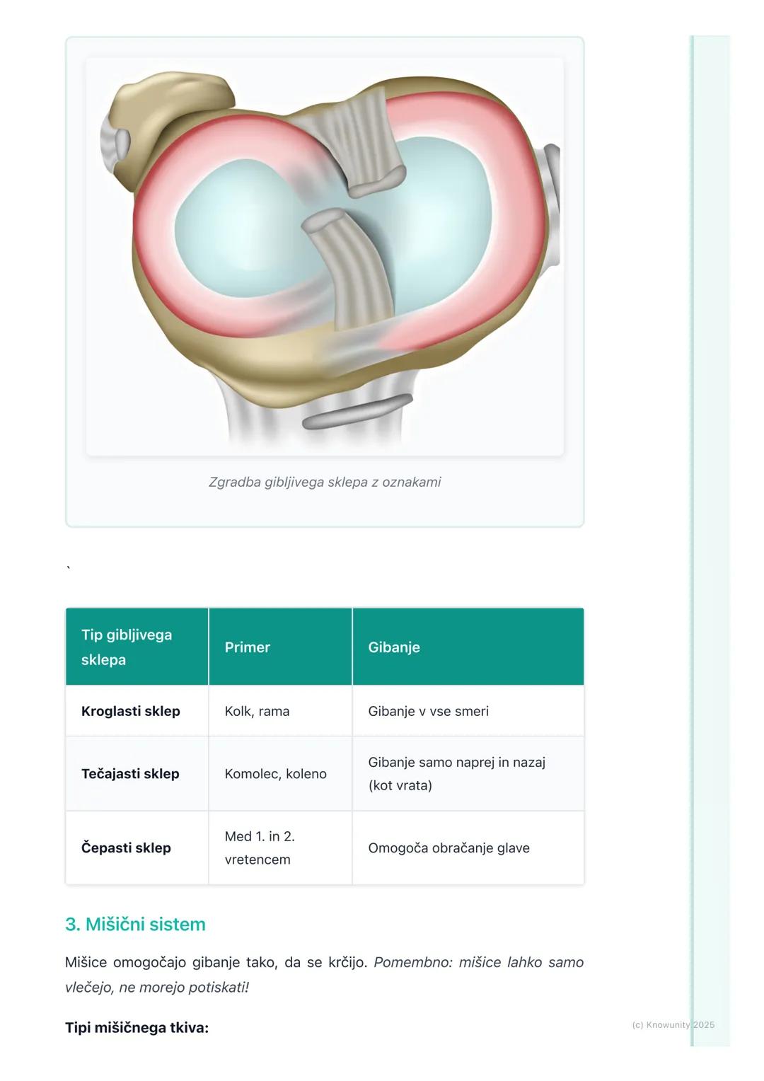 # Skeletni in mišični sistem

Uvod v gibala

Skeletni in mišični sistem skupaj tvorita gibala. Omogočata nam, da se
premikamo, stojimo pokon