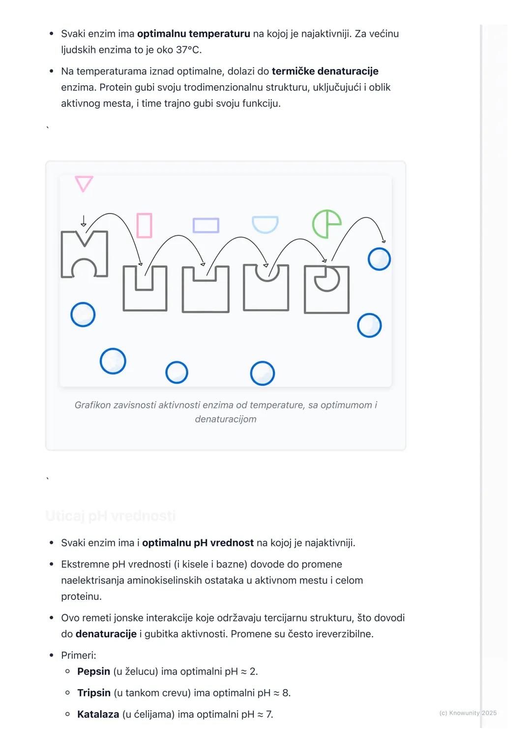 # Enzimi

Uvod u enzime

Enzimi su proteini (uglavnom globularni, mada postoje i neki RNK molekuli sa
katalitičkom funkcijom - ribozimi) koj