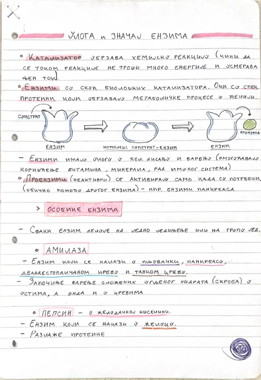 # УЛОГА И ЗНАЧАЈ ЕНЗИМА

• КАТАЛИЗАТОР УБРЗАВА XEMUJCКУ РЕАКЦИЈУ (чини да
CE TOKOM PEAKKUJE НЕ ТРОШИ MHoro EНЕРГИЈЕ И УСМЕРАВА
Њен ток.

• Е