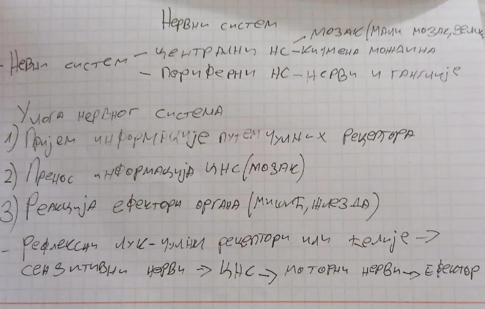 Нервни систем
- Невни систем
Мозак (Мачи мозак, велик
централни HC-кичмена мождина
Периферни НС-нерви и гангuuje
Улога нервног система
L
८
1