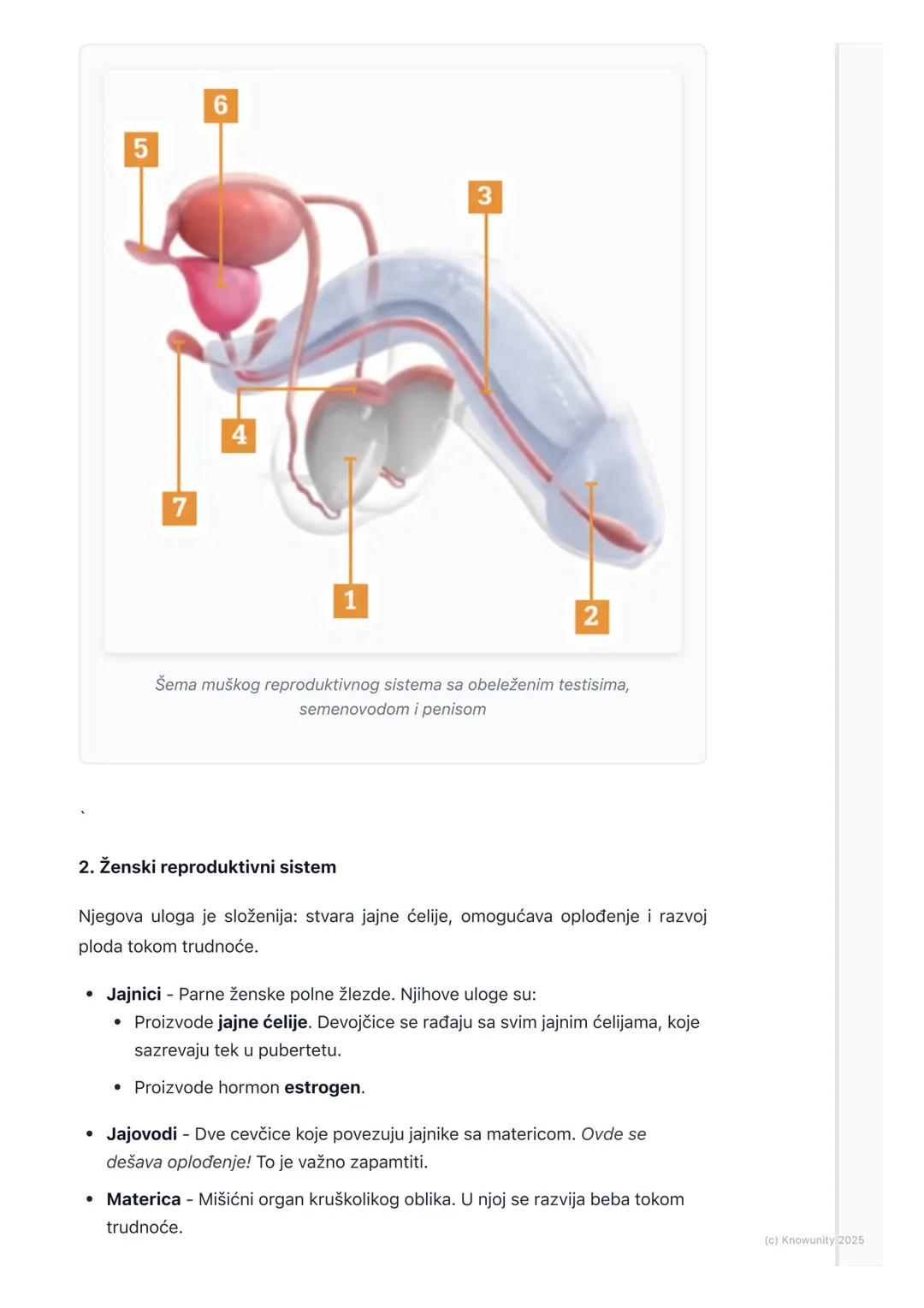 # Reproduktivni sistem i
pubertet

Uvod u reproduktivni sistem i pubertet

Razmnožavanje je jedna od najvažnijih odlika svih živih bića. To 