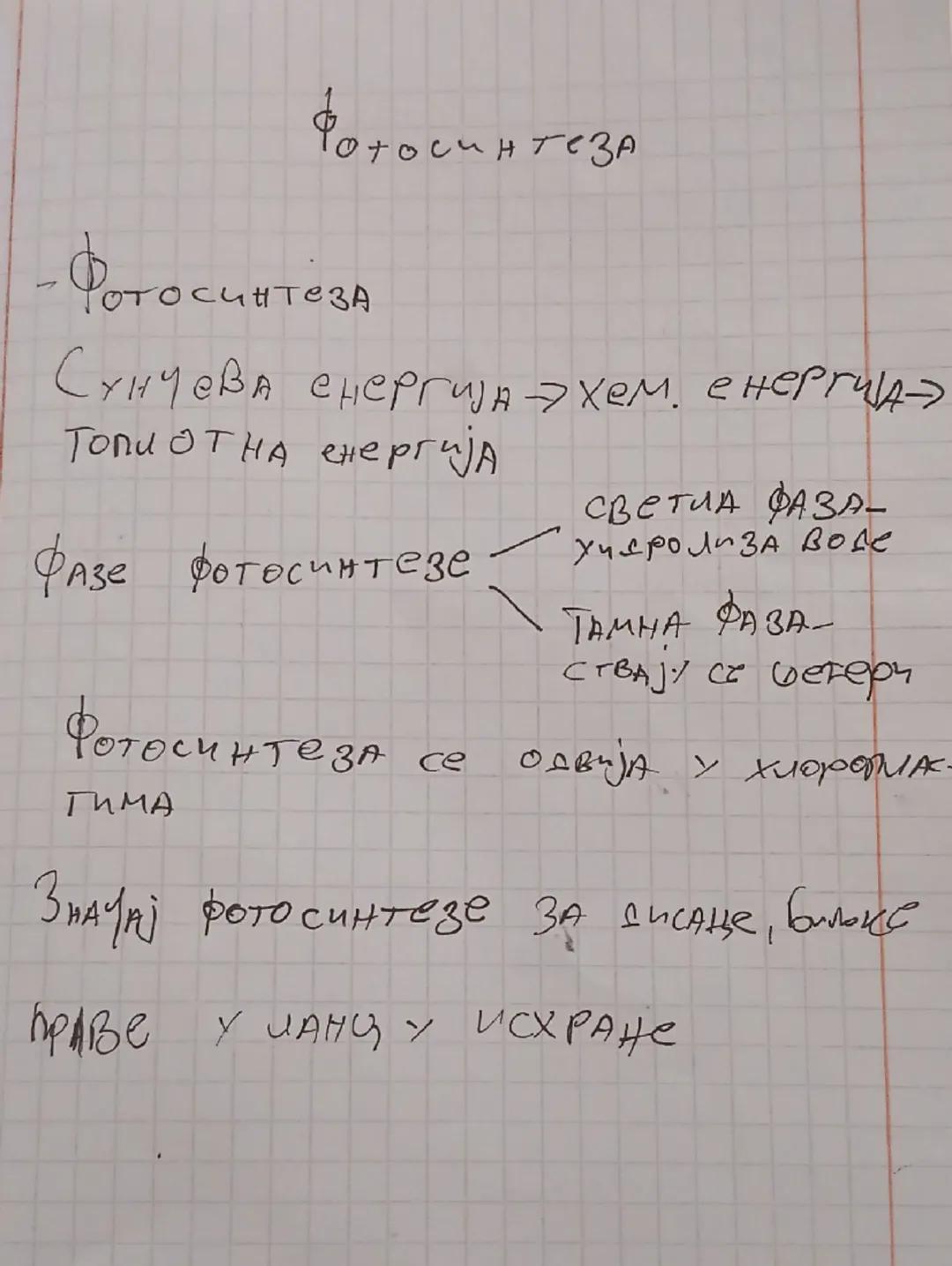 Fotosinteza i njen značaj u prirodi