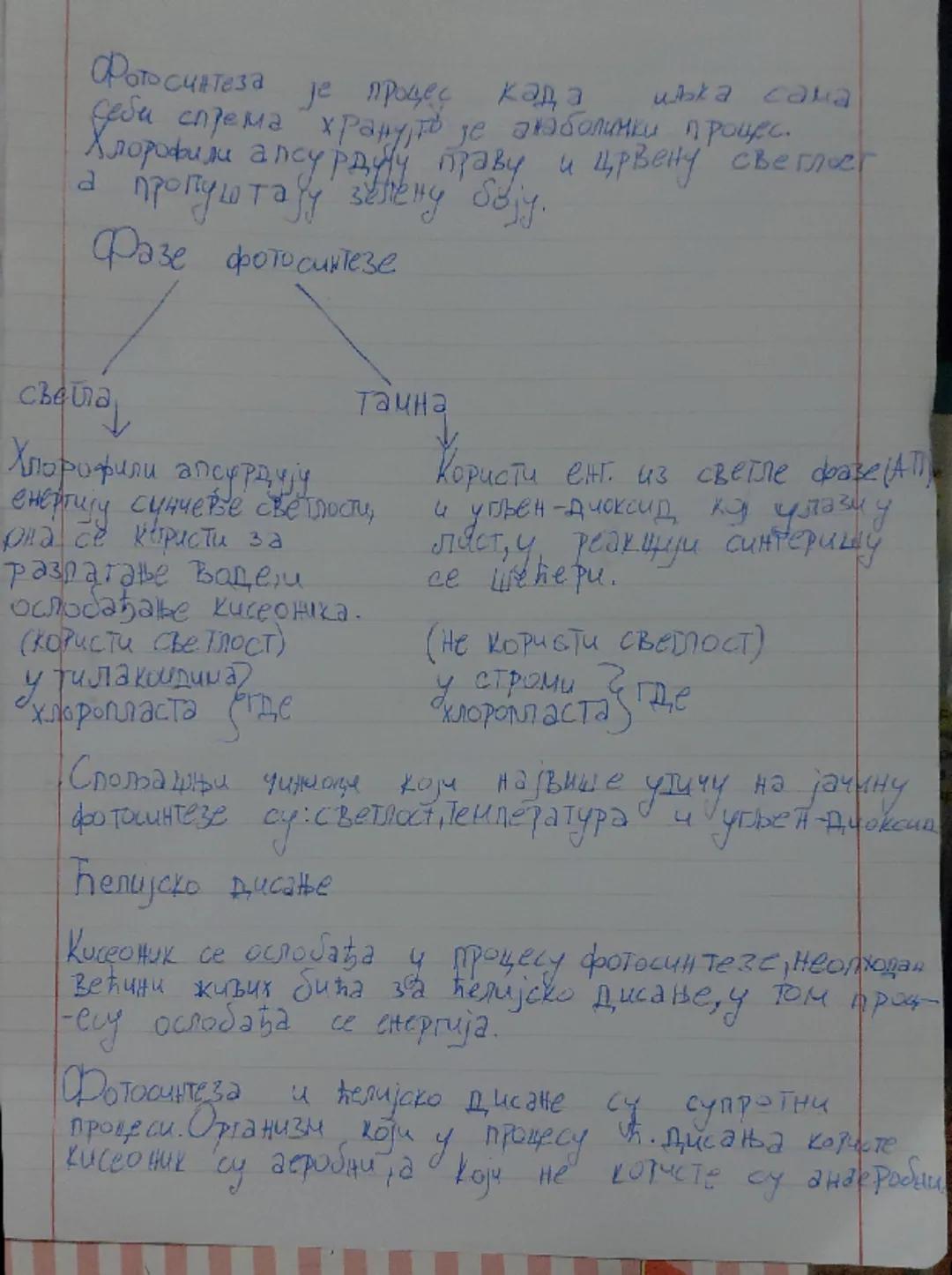 Fotosinteza i Ćelijsko Disanje: Procesi Života Biljaka