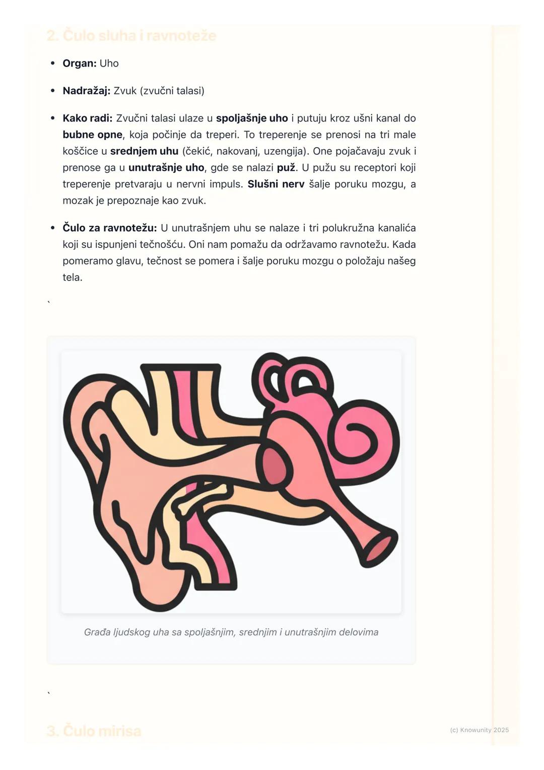 # Čula

Uvod u čula

Čula nam pomažu da upoznamo svet oko sebe. Ona su kao naši prozori u svet.
Preko čula primamo informacije o svemu što s