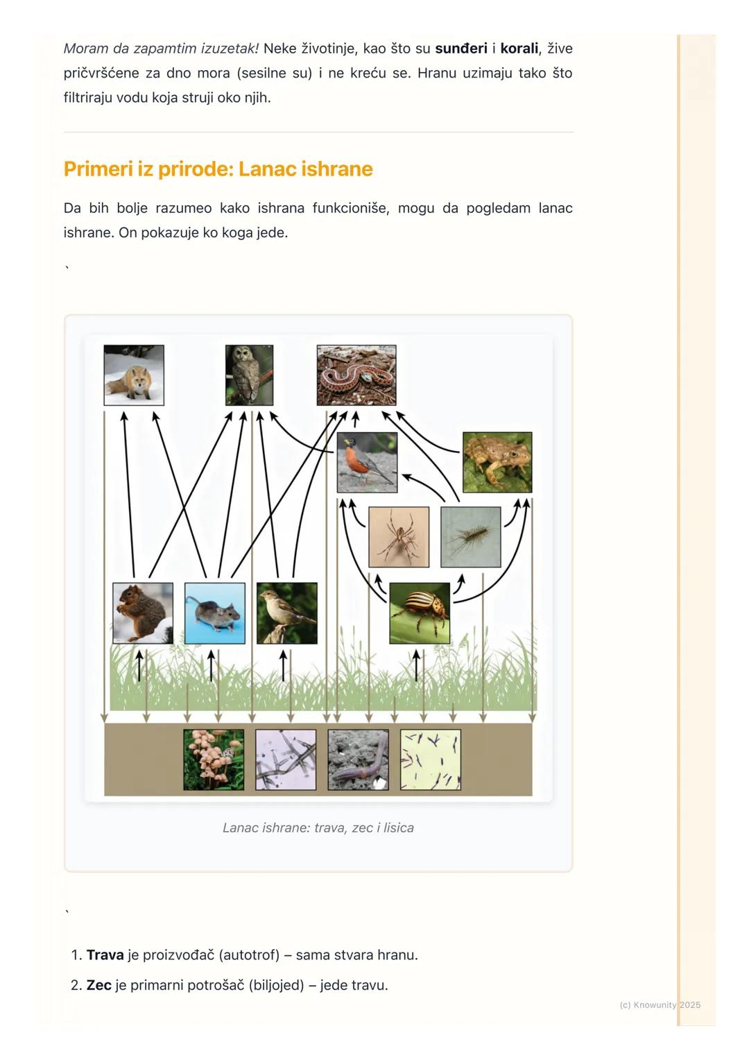 # Opšte Karakteristike Životinja

Uvod: Šta su životinje?

Životinje su živa bića koja čine jedno od carstava u prirodi. One su svuda oko
na