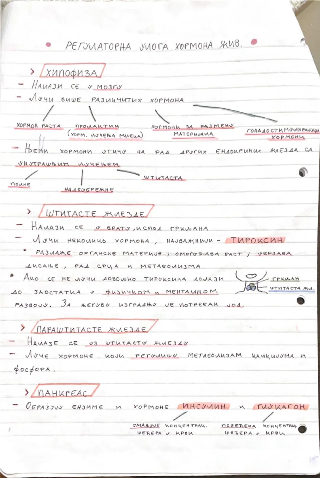Hormoni životinja - Ključna regulatorna uloga za zdravlje