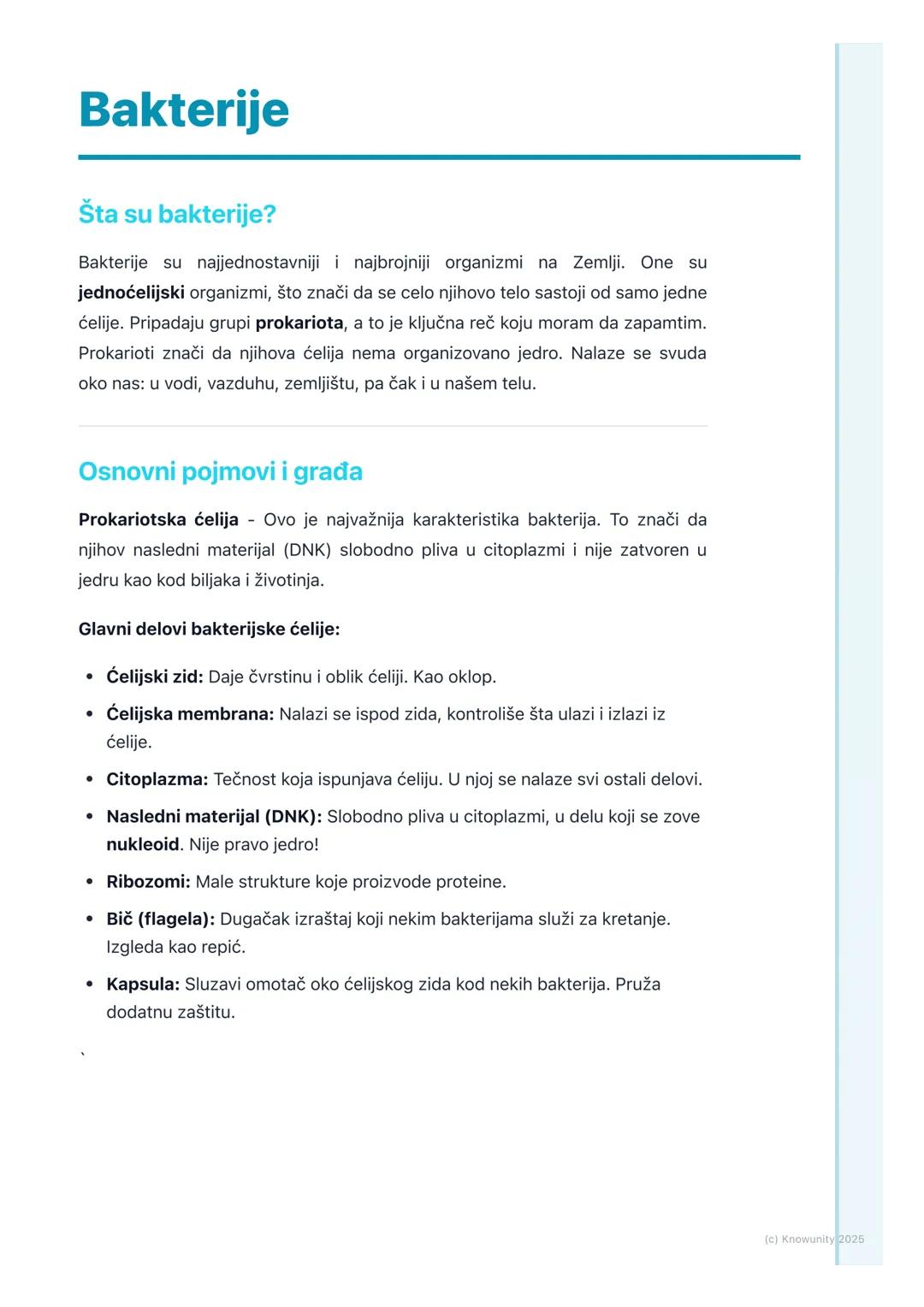 Sve o Bakterijama: Građa, Vrste i Uloga u Prirodi