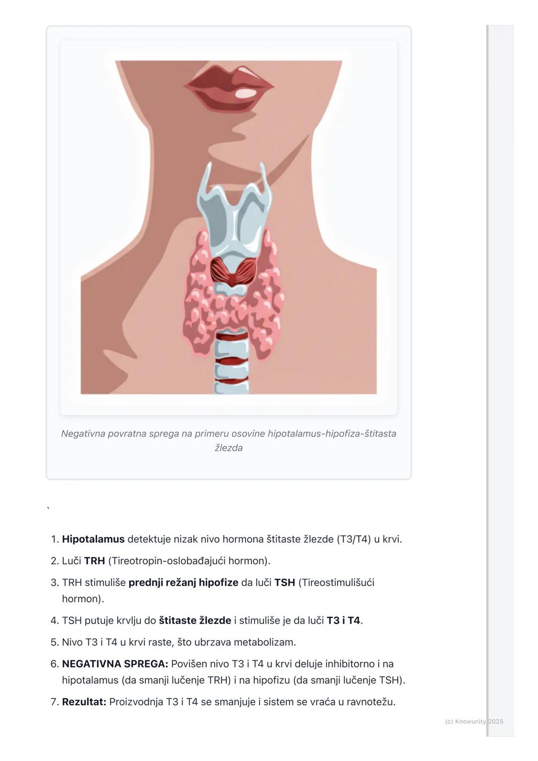 # Endokrini sistem

## Uvod u endokrini sistem

Endokrini sistem je, pored nervnog sistema, ključni regulatorni sistem u našem
telu. Dok ner