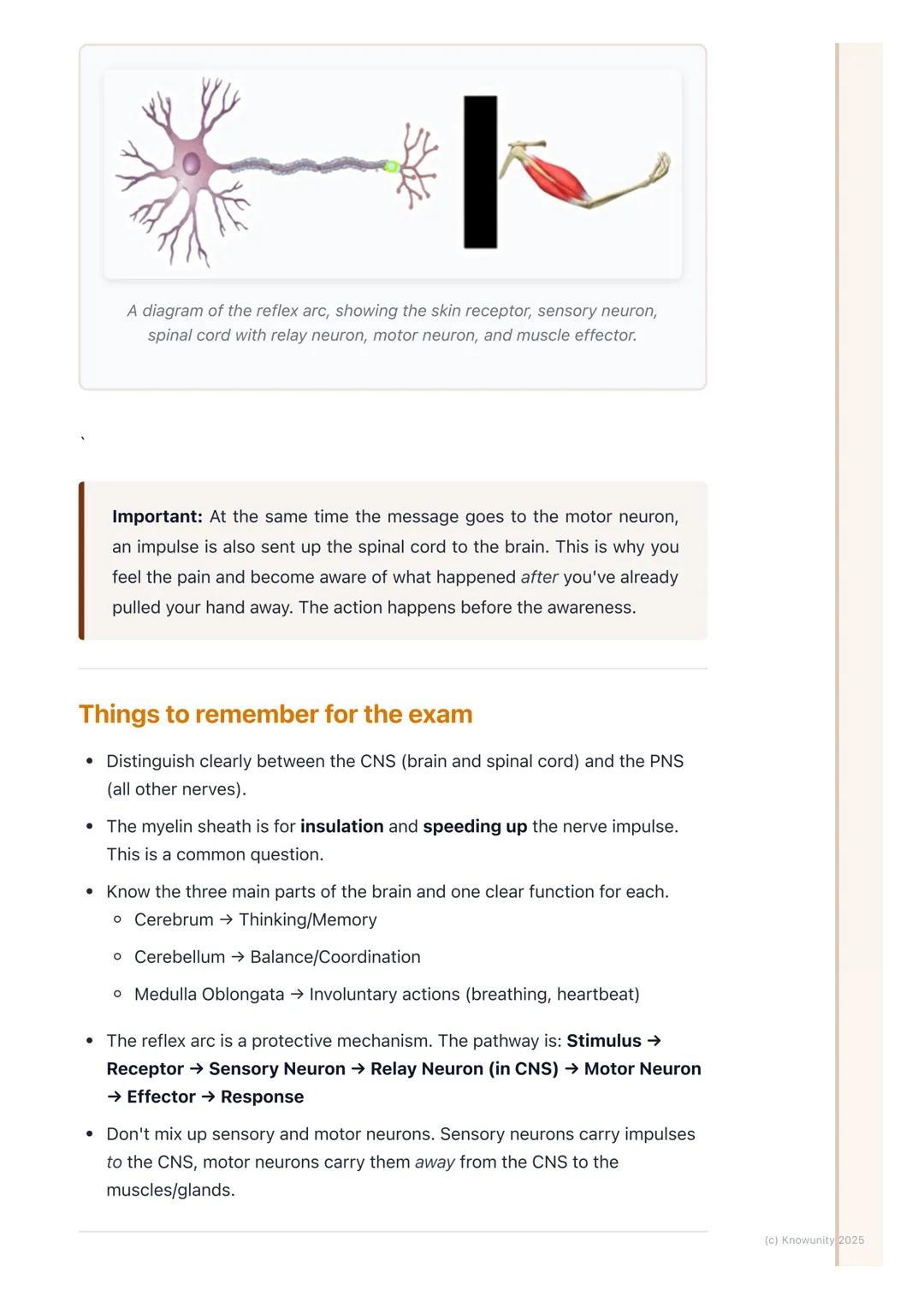 # The Nervous System

An introduction to the nervous system

The nervous system is our body's main control and communication system. It's
in