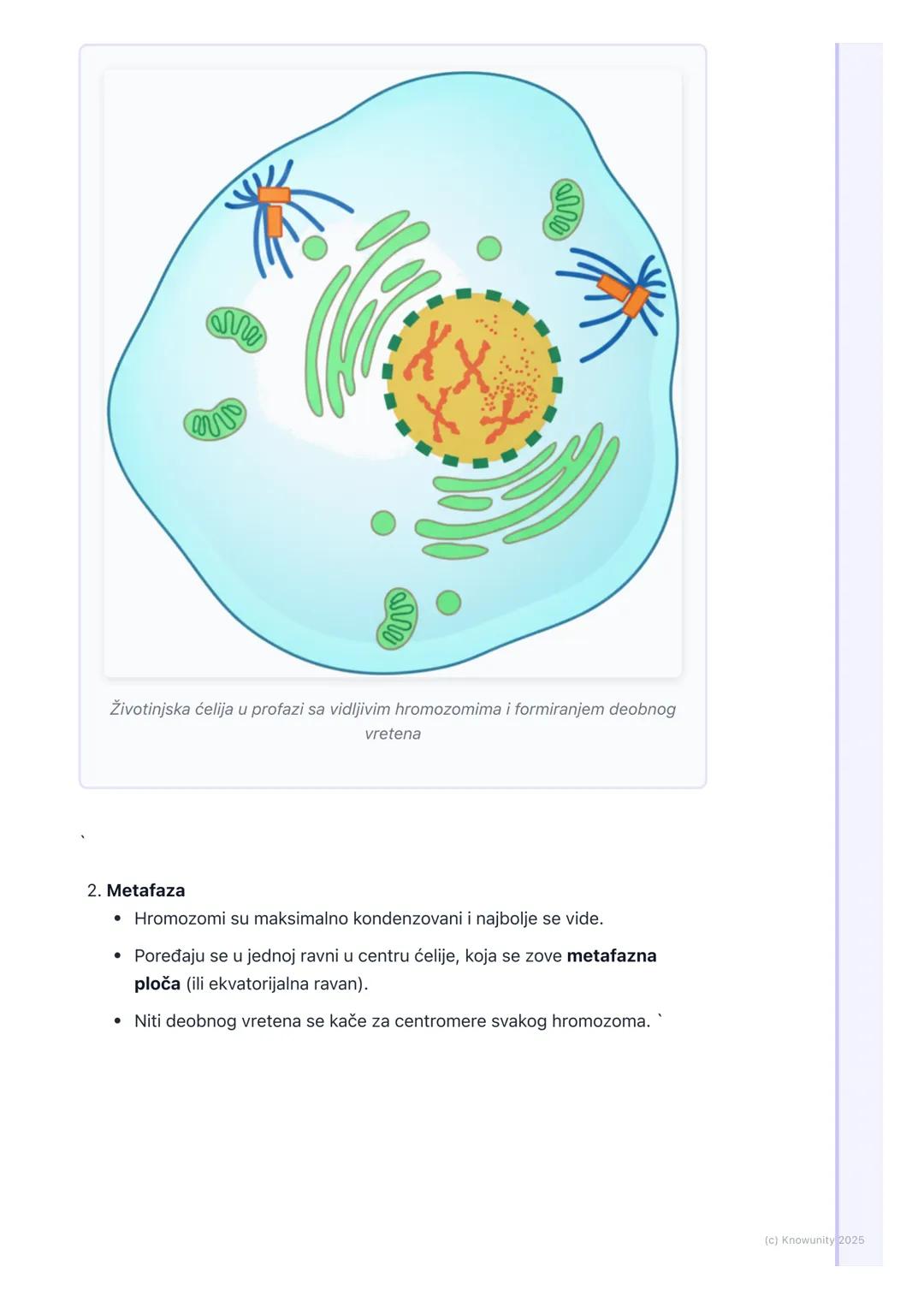 # Ćelijski ciklus i mitoza

Uvod u ćelijski ciklus

Ćelijski ciklus je životni put jedne ćelije, od njenog nastanka deobom majke
ćelije do t