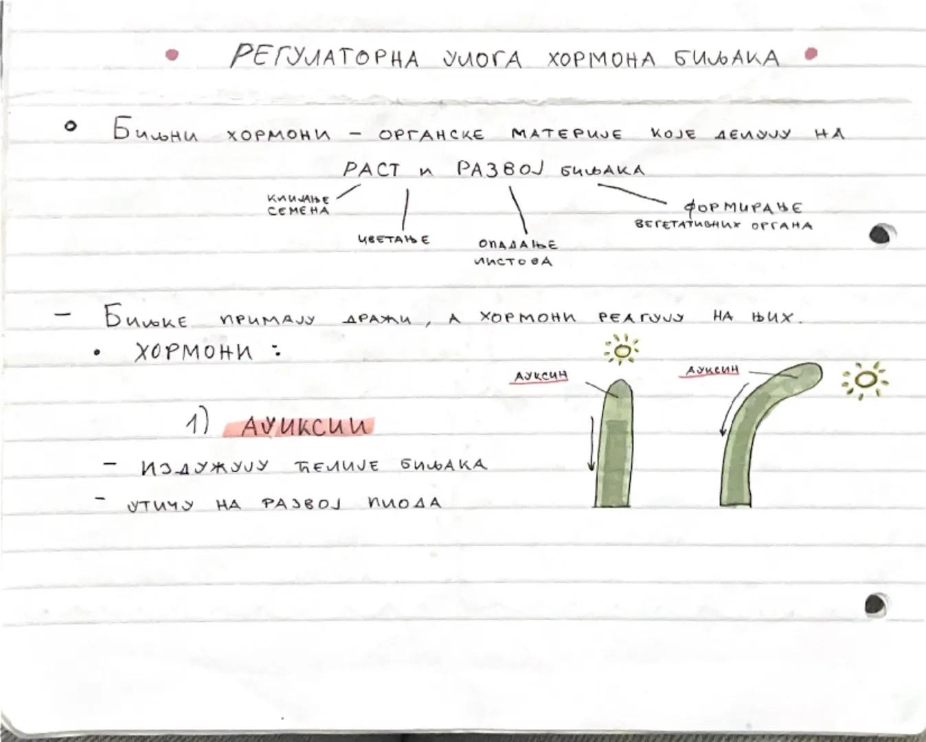 。 РЕГУЛАТОРНА УЛОГА ХОРМОНА БИЉАКА

。 Биљни ХОРМОНИ - ОРГАНСKE МАТЕРUJE КОЈЕ ДЕЛУЈУ HA

PACT и РАЗВОЈ БИЉАКА

КИИЈАЊЕ
CEMEHA
ФОРМИРАЊЕ
ВЕГЕТ