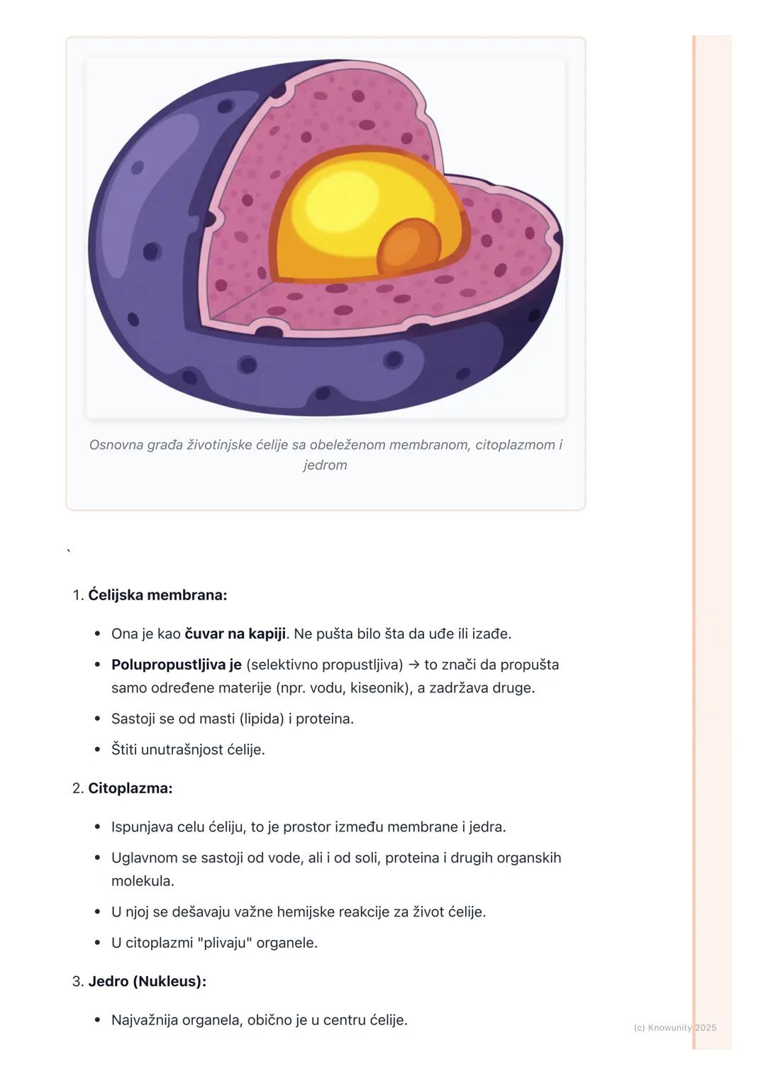 # Građa ćelije

## Uvod u građu ćelije

Sve ćelije, bez obzira da li su biljne ili životinjske, imaju neku osnovnu,
zajedničku građu. One su
