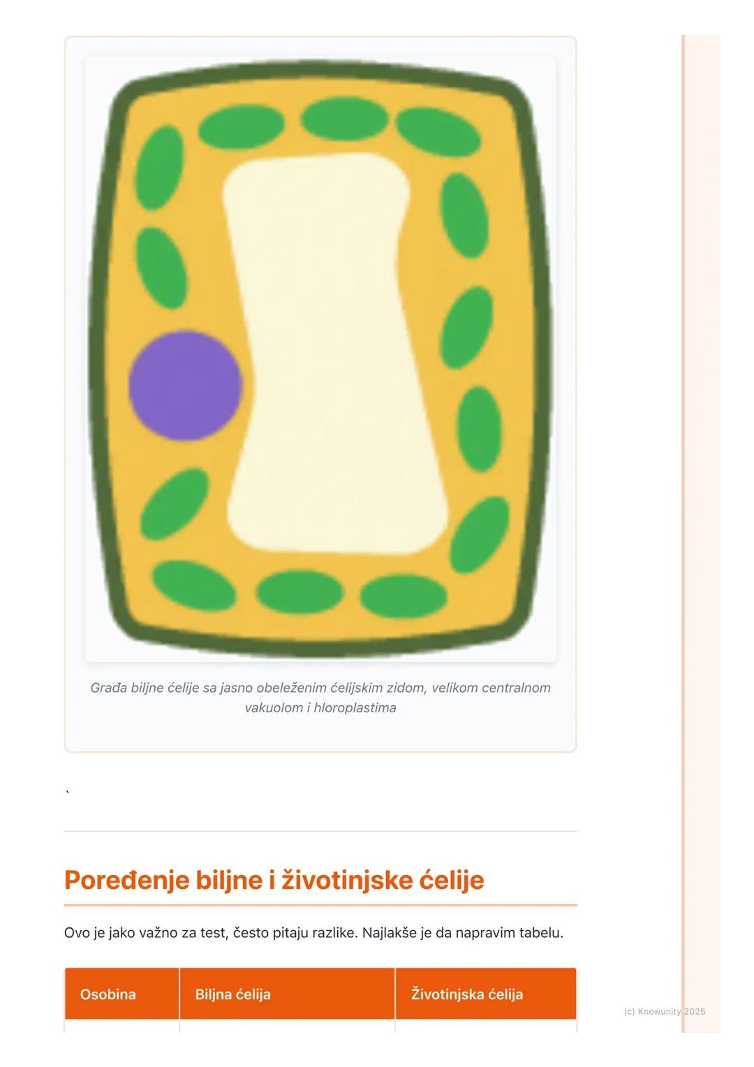 # Građa ćelije

## Uvod u građu ćelije

Sve ćelije, bez obzira da li su biljne ili životinjske, imaju neku osnovnu,
zajedničku građu. One su