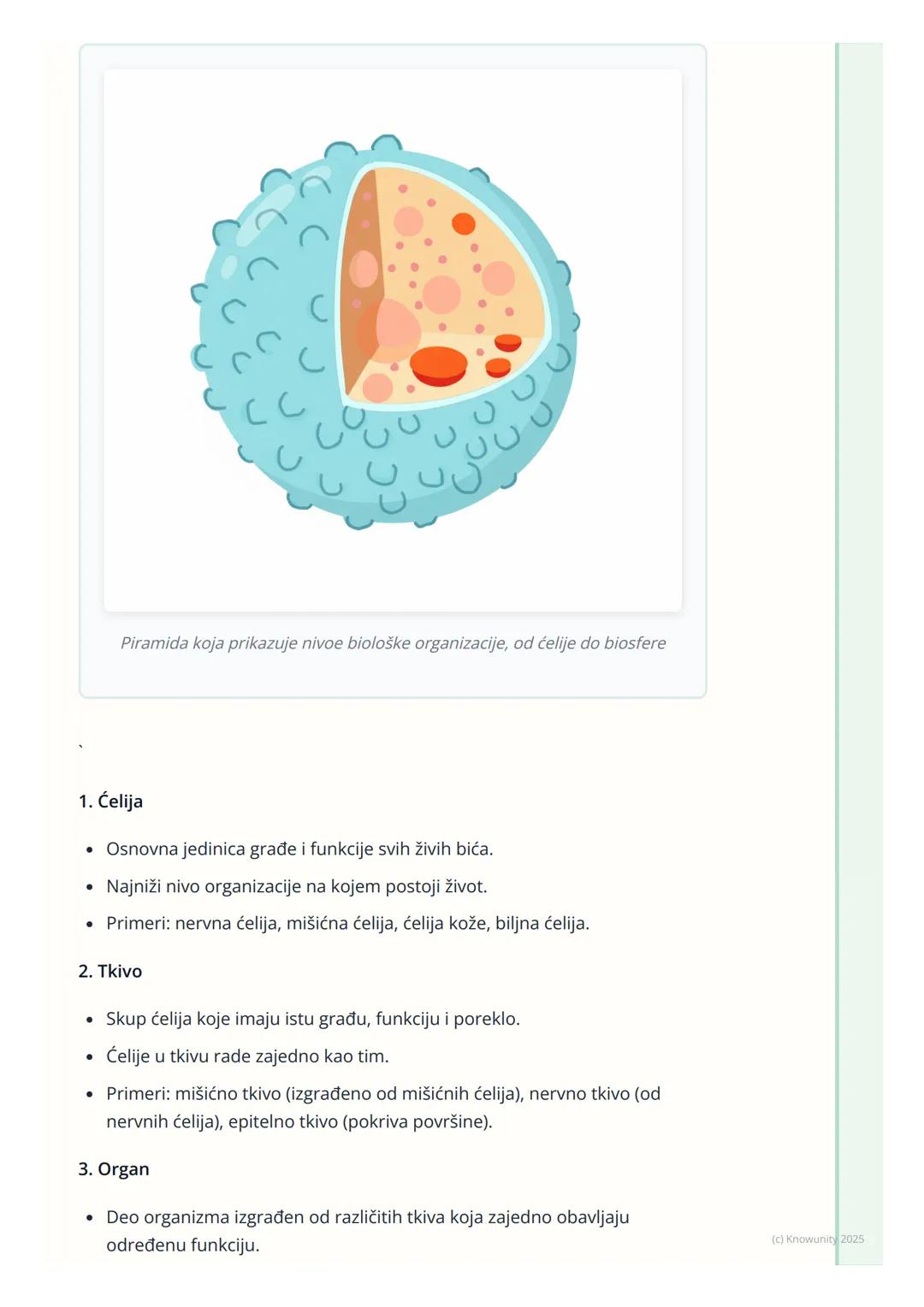 # Nivoi organizacije živog sveta

Uvod u nivoe organizacije

Sva živa bića, od najmanje bakterije do najvećeg drveta, imaju neku vrstu
organ