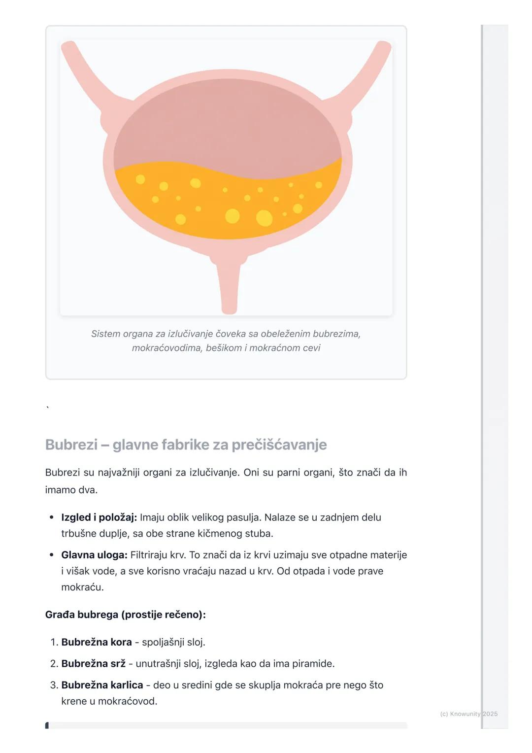 # Sistem organa za izlučivanje

## Uvod u sistem za izlučivanje

Naše telo je kao fabrika koja stalno radi. U tom radu (metabolizmu) stvaraj
