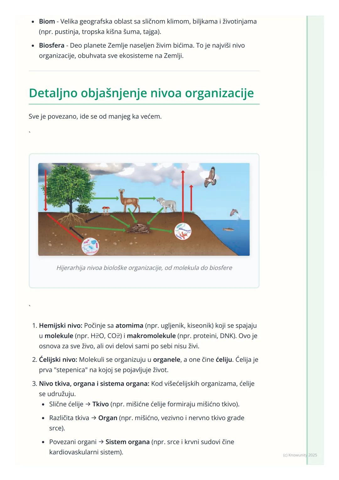 # Nivoi organizacije živog sveta

## Uvod u nivoe organizacije

Sva živa bića, od najmanje bakterije do najvećeg drveta, imaju neku vrstu
st