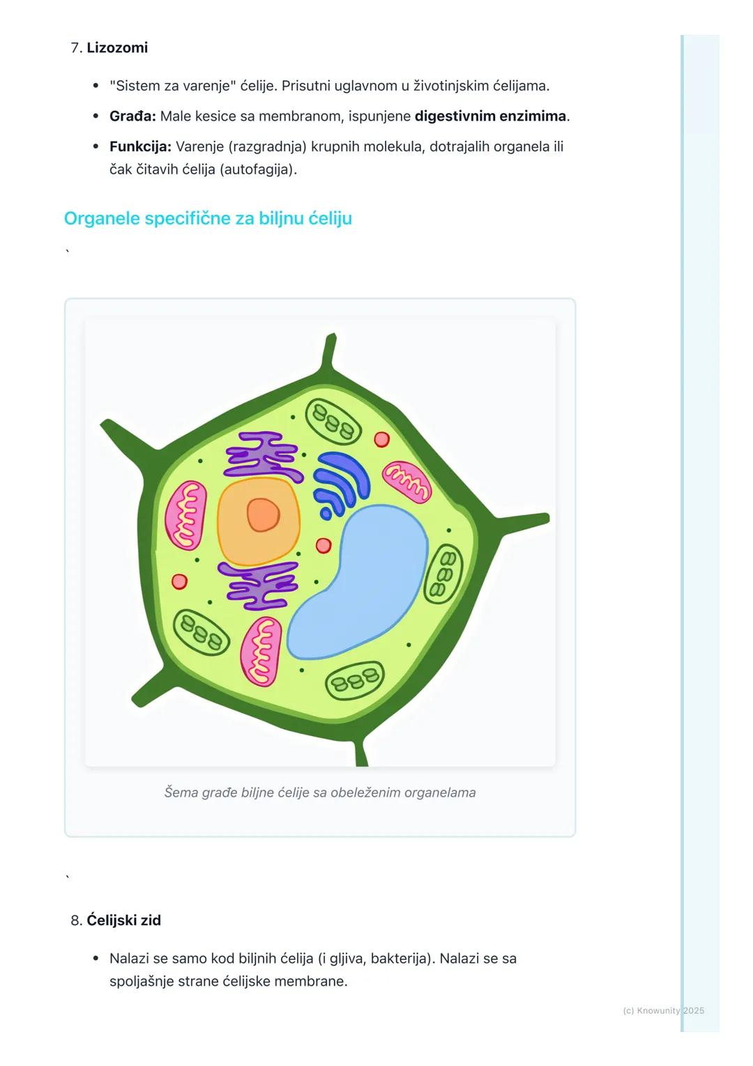 # Građa eukariotske ćelije

Građa eukariotske ćelije

Eukariotske ćelije su složenije od prokariotskih. One imaju pravo, membranom
odvojeno 