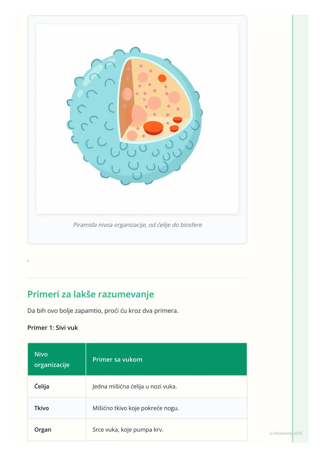 # Nivoi organizacije živog sveta

Uvodni deo

Sva živa bića u prirodi, od najmanje bakterije do najvećeg drveta, imaju neku
svoju organizaci