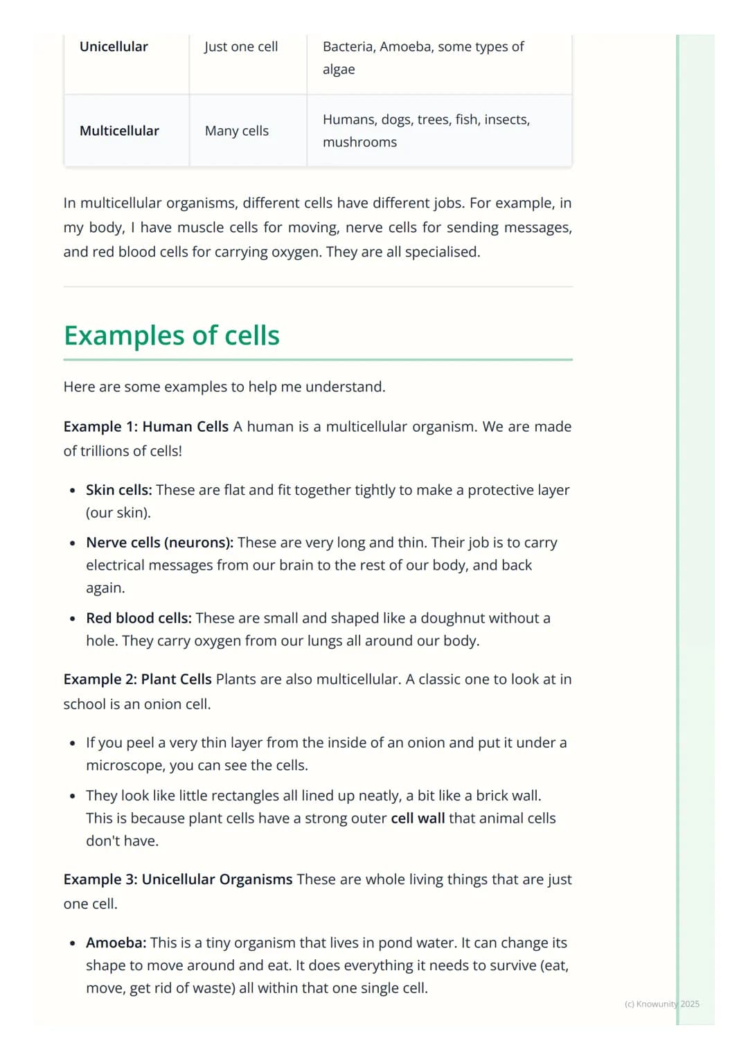 # Introduction to Cells

## What are cells?

All living things, from the biggest blue whale to the smallest insect, are made
of cells. They 