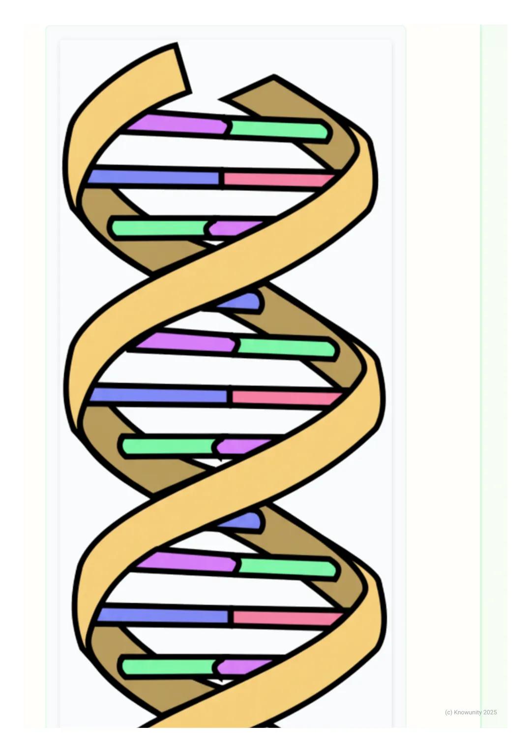 # Hromozomi, geni i DNK

Uvod u nasledni materijal

Sva živa bića nasleđuju osobine od svojih roditelja. Te osobine, kao što su boja
očiju, 