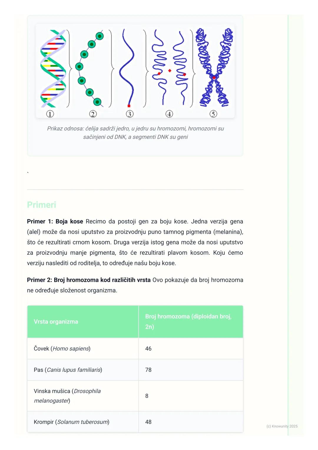 # Hromozomi, geni i DNK

Uvod u nasledni materijal

Sva živa bića nasleđuju osobine od svojih roditelja. Te osobine, kao što su boja
očiju, 