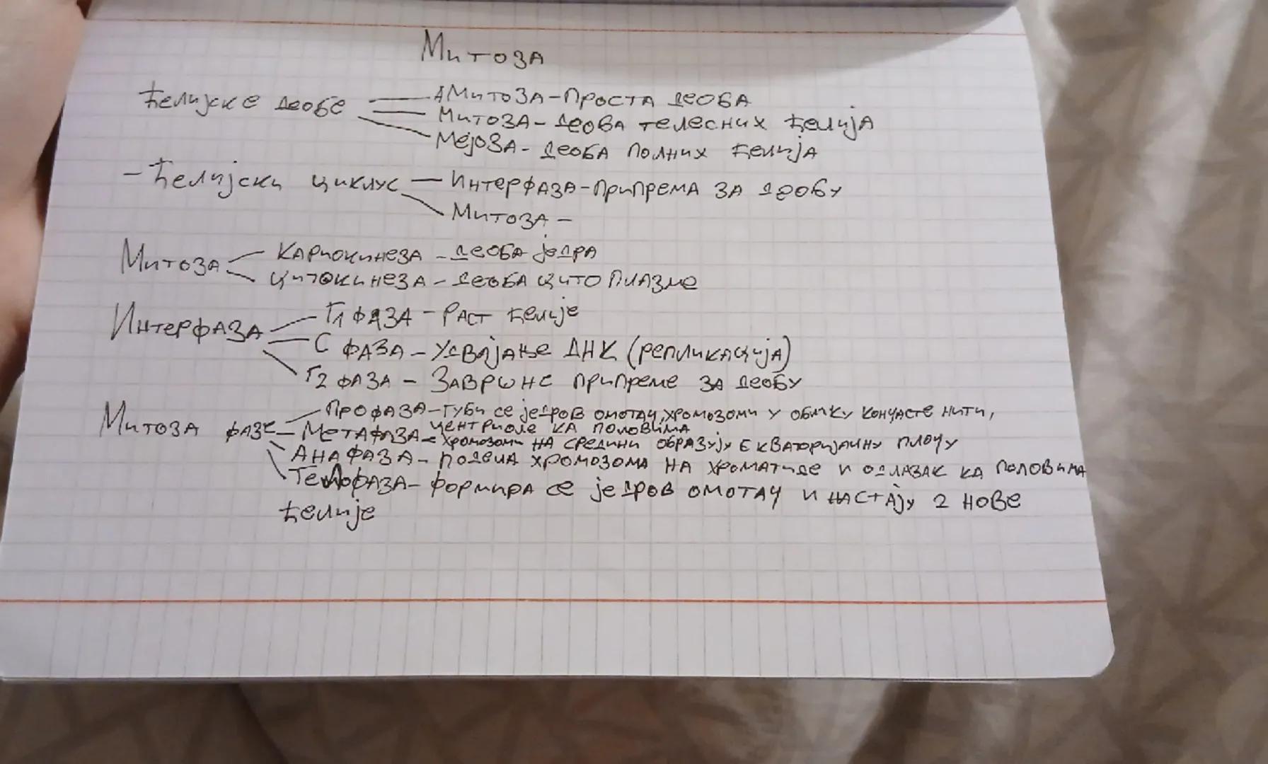 ћелијске деобе
Митоза
•А Митоза - Проста деоба
Митоза-деова телесних ћелија
Мејоза - Деоба Полних денnja
- Ћелијски циклус.
Интерфаза-Припре