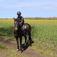 user profile picture