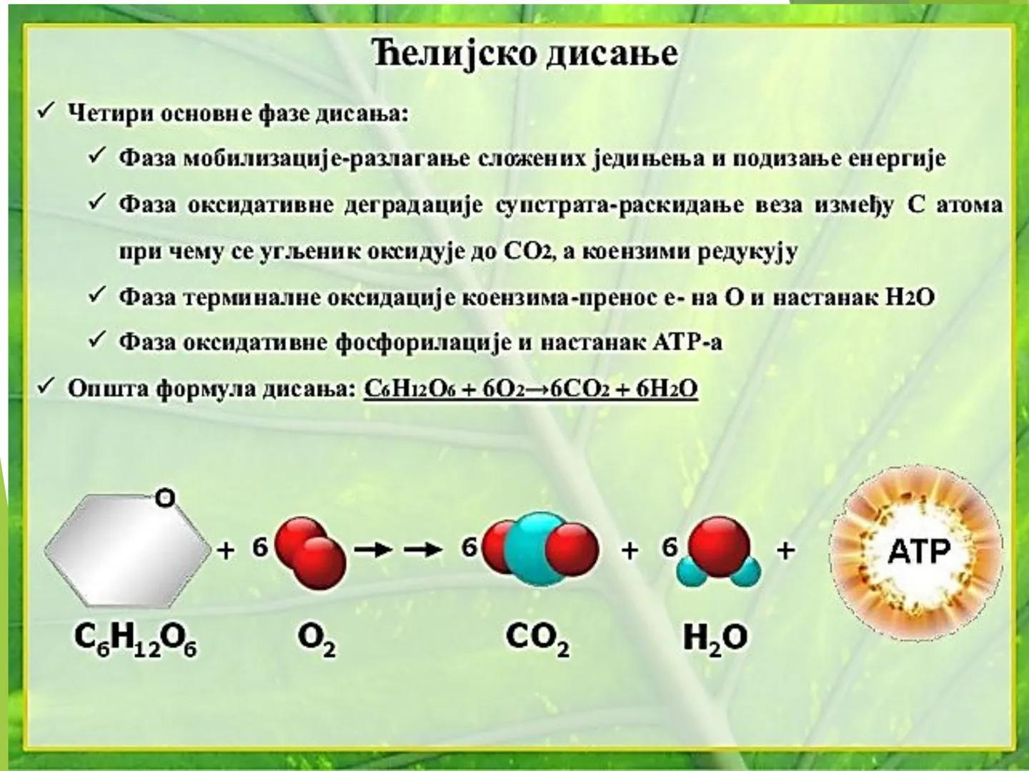 # ГЛИКОЛИЗА И КРЕБСОВ ЦИКЛУС
Снежана Дејановић - Исходи:
После обраде наставне јединице бићете у стању да:
- анализирате главне метаболичке