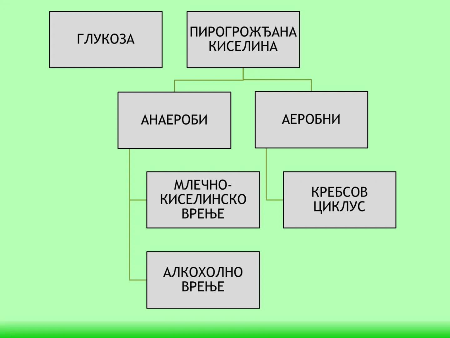 # ГЛИКОЛИЗА И КРЕБСОВ ЦИКЛУС
Снежана Дејановић - Исходи:
После обраде наставне јединице бићете у стању да:
- анализирате главне метаболичке