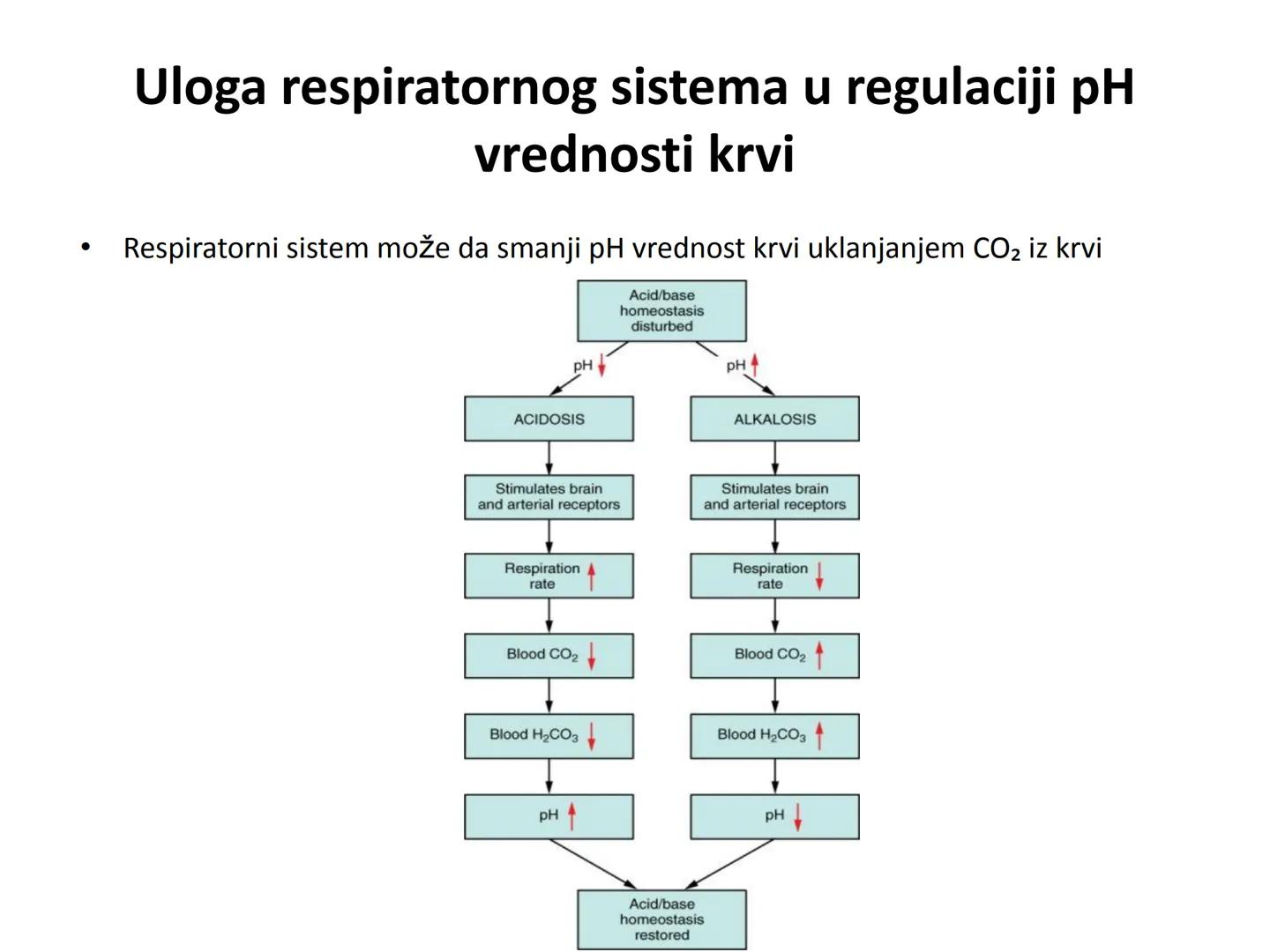 # OPŠTA FIZIOLOGIJA
1. Ćelija (ćelijska membrana)
2. Ćelijski metabolizam
3. Unutrašnja sredina i ćelijske veze
4. Transport kroz ćelijsku