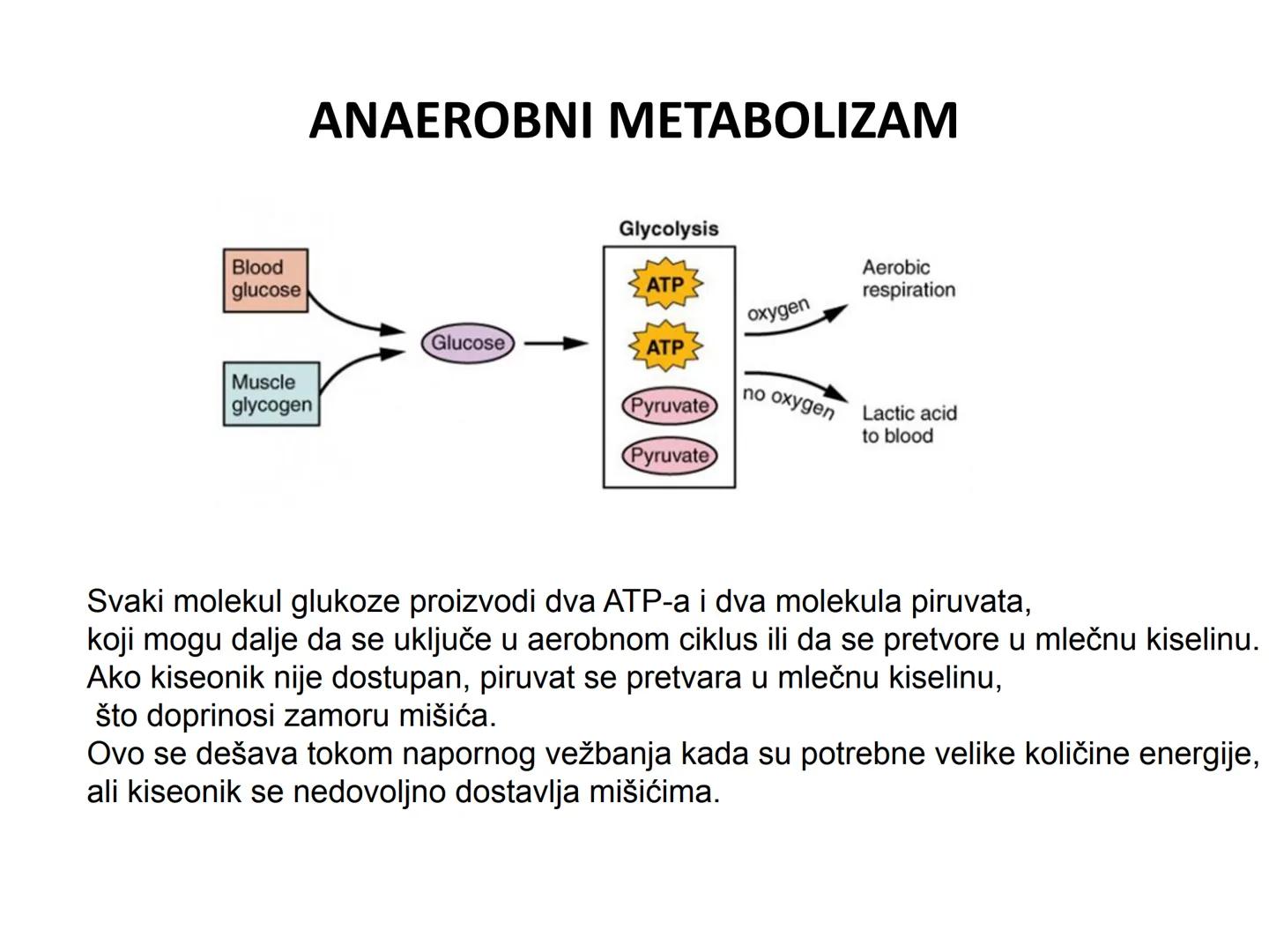 # OPŠTA FIZIOLOGIJA
1. Ćelija (ćelijska membrana)
2. Ćelijski metabolizam
3. Unutrašnja sredina i ćelijske veze
4. Transport kroz ćelijsku