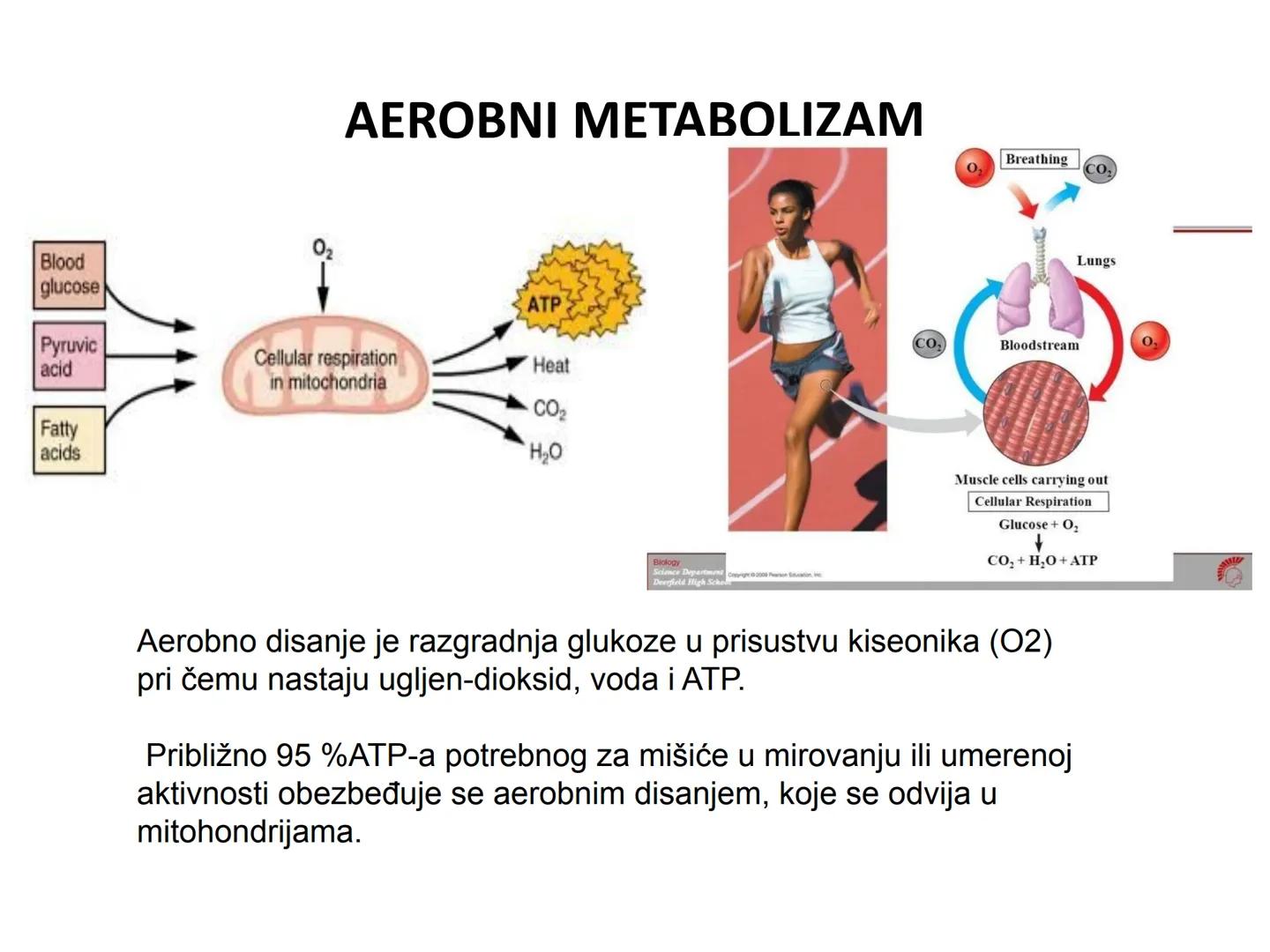 # OPŠTA FIZIOLOGIJA
1. Ćelija (ćelijska membrana)
2. Ćelijski metabolizam
3. Unutrašnja sredina i ćelijske veze
4. Transport kroz ćelijsku
