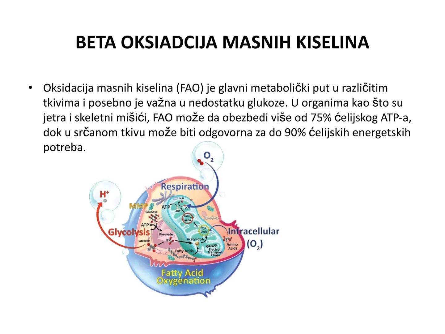 # OPŠTA FIZIOLOGIJA
1. Ćelija (ćelijska membrana)
2. Ćelijski metabolizam
3. Unutrašnja sredina i ćelijske veze
4. Transport kroz ćelijsku