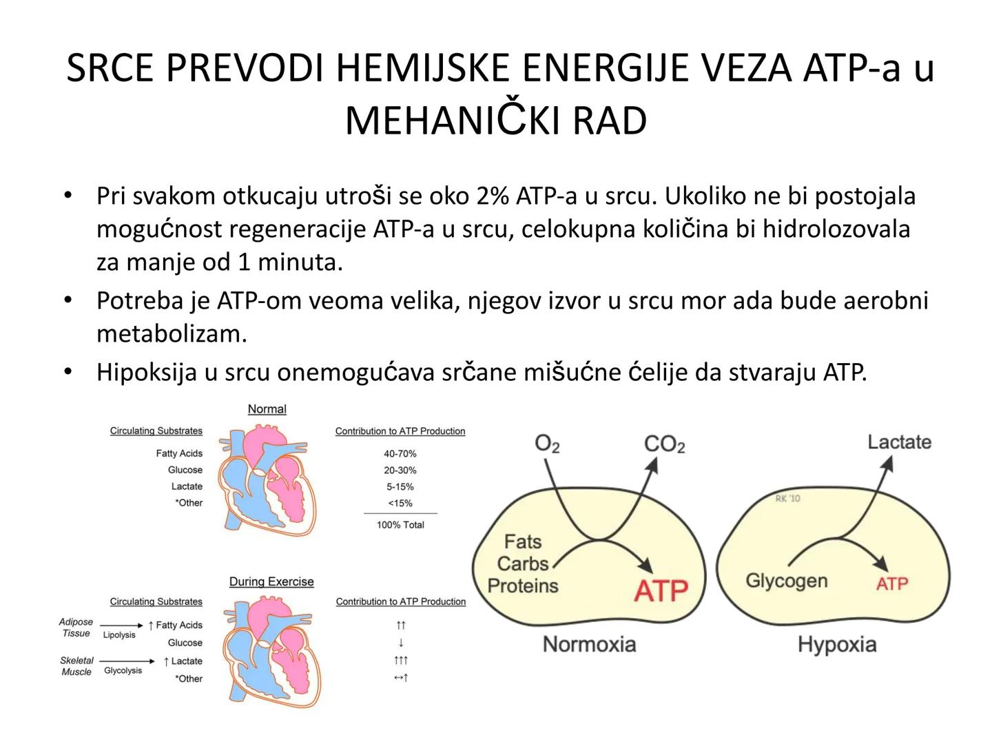 # OPŠTA FIZIOLOGIJA
1. Ćelija (ćelijska membrana)
2. Ćelijski metabolizam
3. Unutrašnja sredina i ćelijske veze
4. Transport kroz ćelijsku