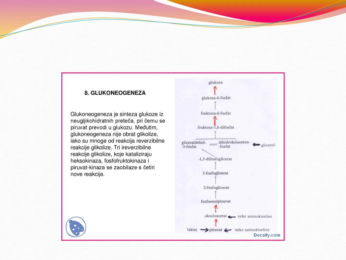 # OPŠTA FIZIOLOGIJA
1. Ćelija (ćelijska membrana)
2. Ćelijski metabolizam
3. Unutrašnja sredina i ćelijske veze
4. Transport kroz ćelijsku