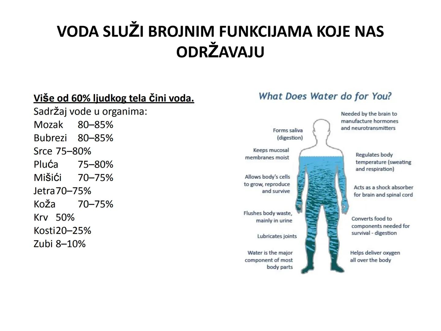 # OPŠTA FIZIOLOGIJA
1. Ćelija (ćelijska membrana)
2. Ćelijski metabolizam
3. Unutrašnja sredina i ćelijske veze
4. Transport kroz ćelijsku