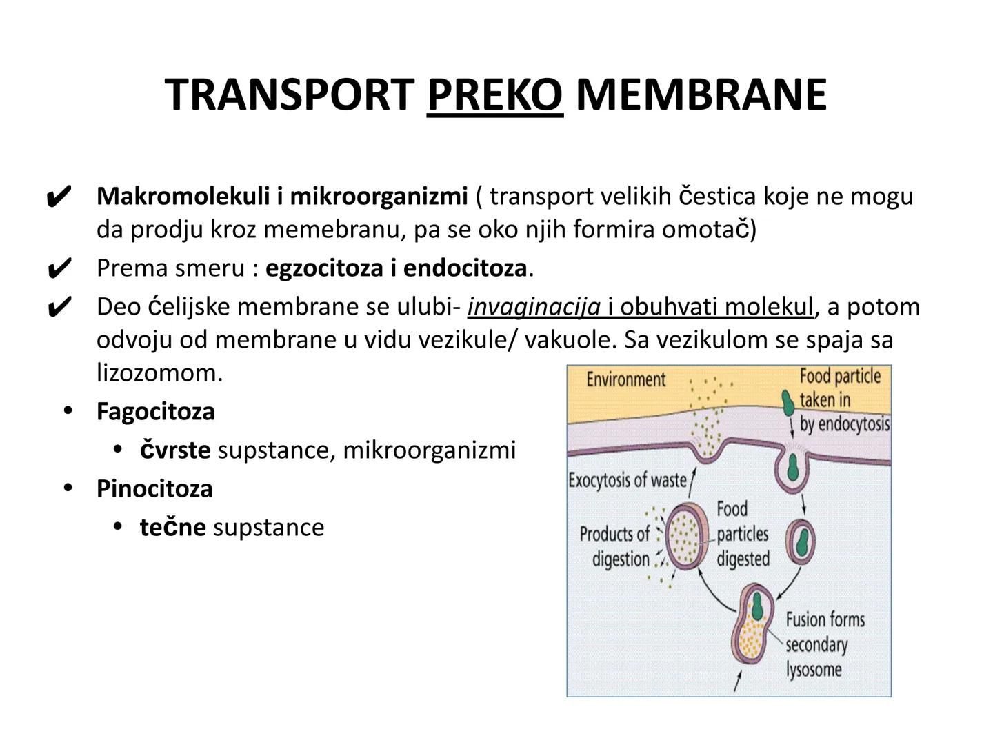# OPŠTA FIZIOLOGIJA
1. Ćelija (ćelijska membrana)
2. Ćelijski metabolizam
3. Unutrašnja sredina i ćelijske veze
4. Transport kroz ćelijsku