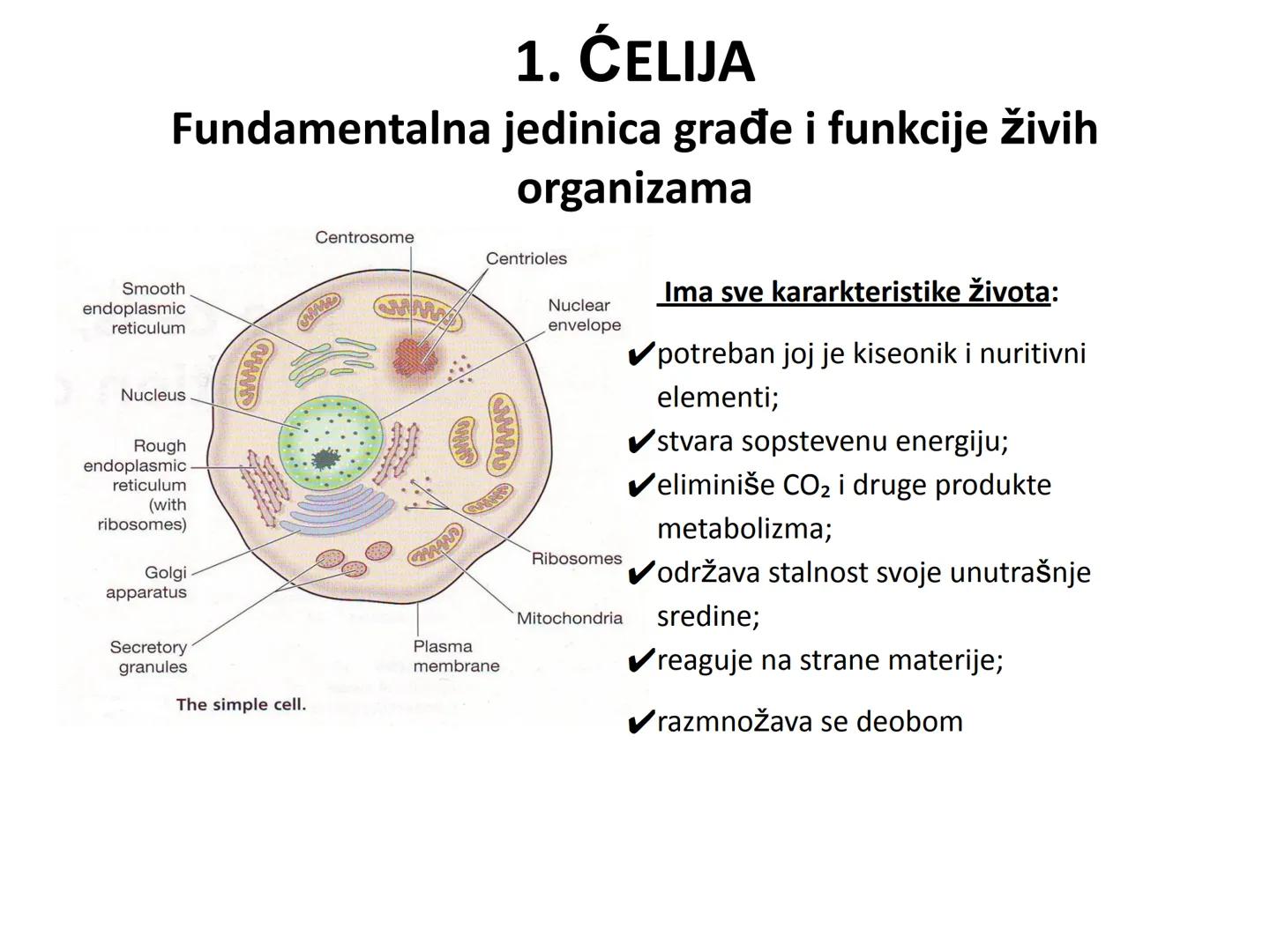 # OPŠTA FIZIOLOGIJA
1. Ćelija (ćelijska membrana)
2. Ćelijski metabolizam
3. Unutrašnja sredina i ćelijske veze
4. Transport kroz ćelijsku