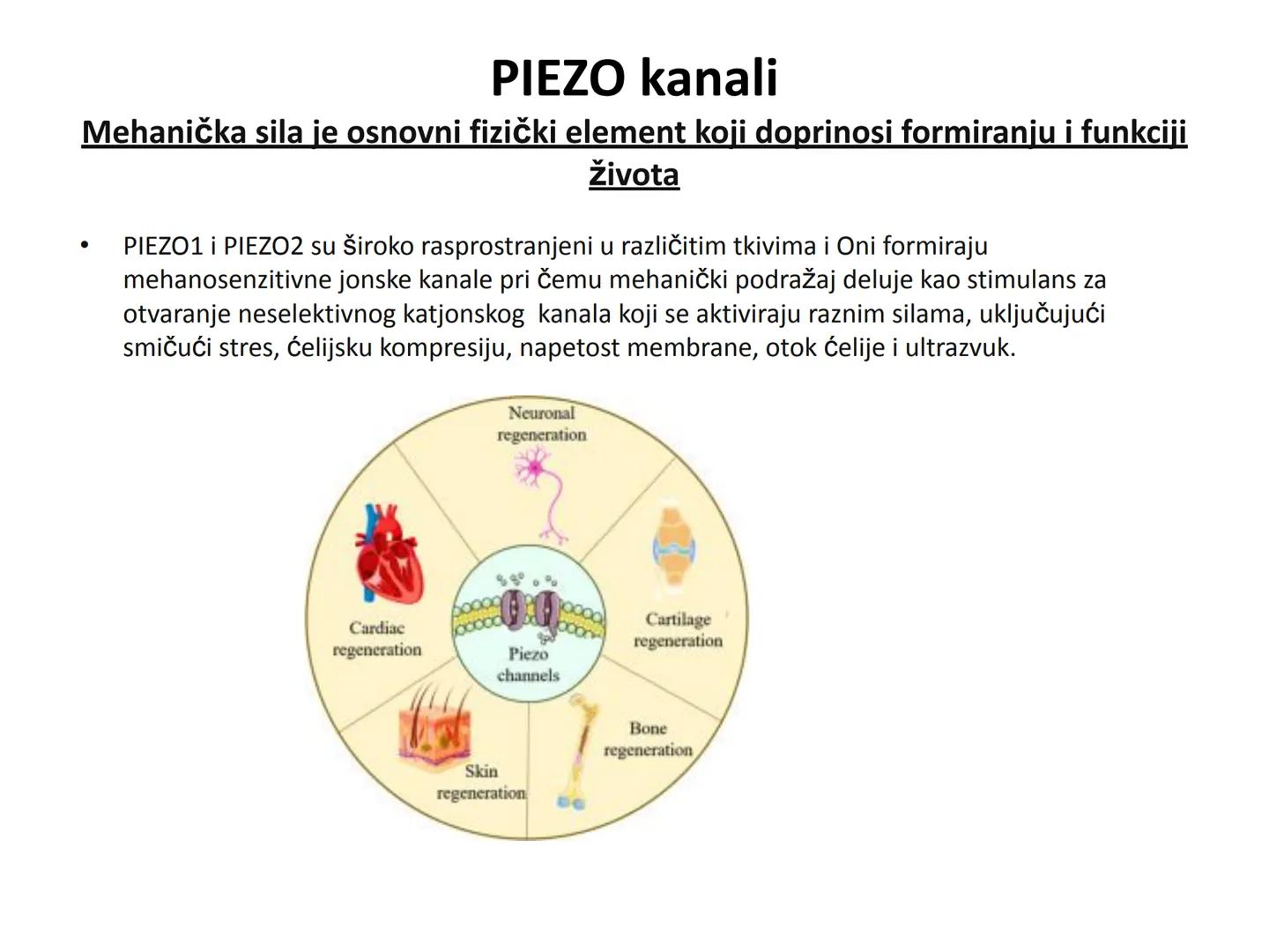 # OPŠTA FIZIOLOGIJA
1. Ćelija (ćelijska membrana)
2. Ćelijski metabolizam
3. Unutrašnja sredina i ćelijske veze
4. Transport kroz ćelijsku
