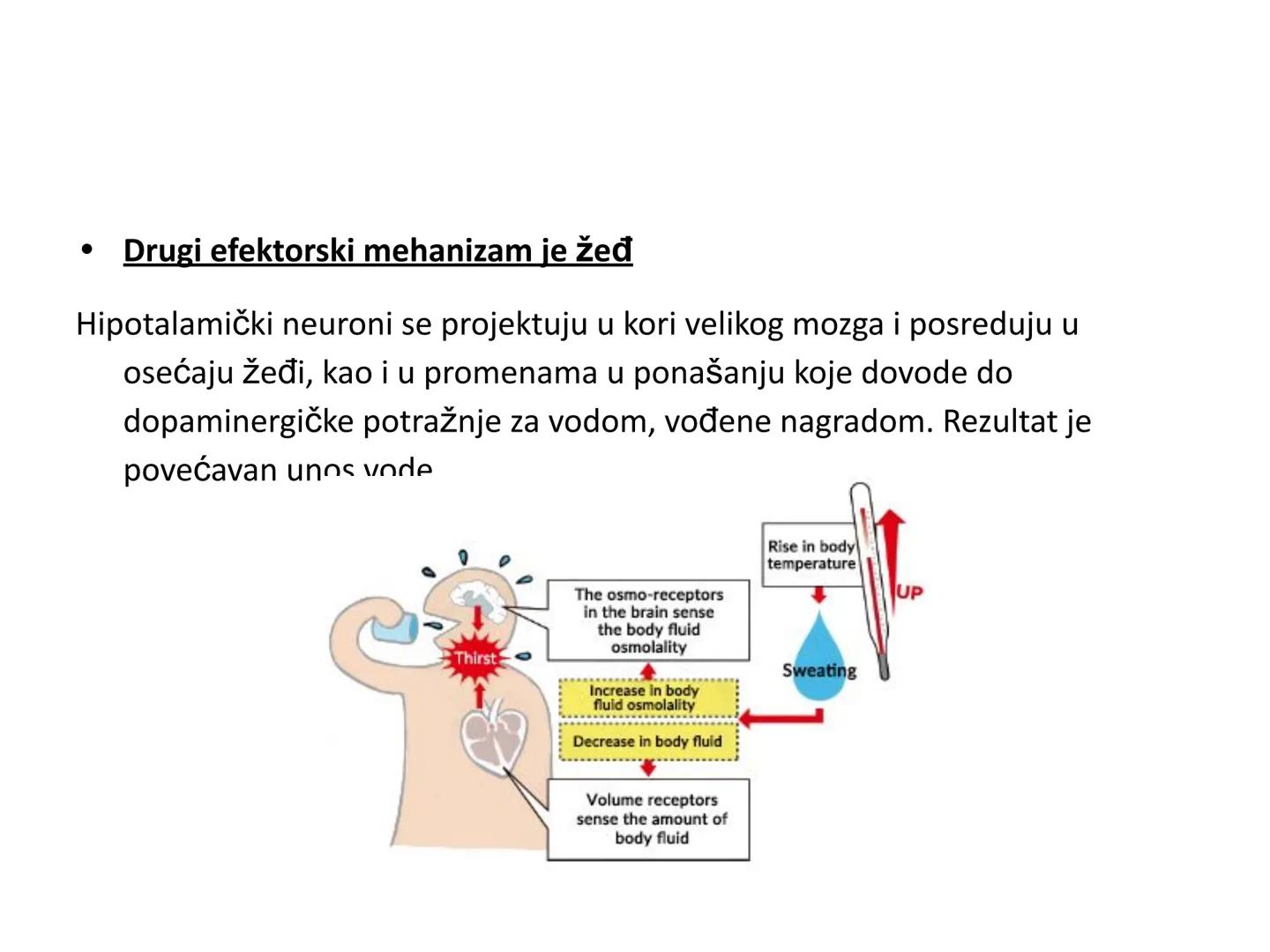# OPŠTA FIZIOLOGIJA
1. Ćelija (ćelijska membrana)
2. Ćelijski metabolizam
3. Unutrašnja sredina i ćelijske veze
4. Transport kroz ćelijsku