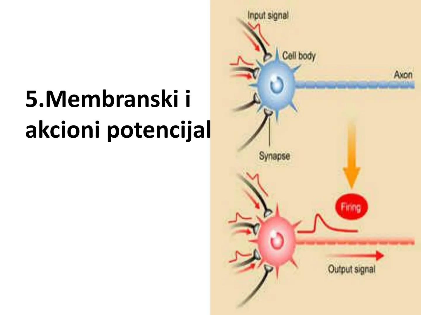# OPŠTA FIZIOLOGIJA
1. Ćelija (ćelijska membrana)
2. Ćelijski metabolizam
3. Unutrašnja sredina i ćelijske veze
4. Transport kroz ćelijsku
