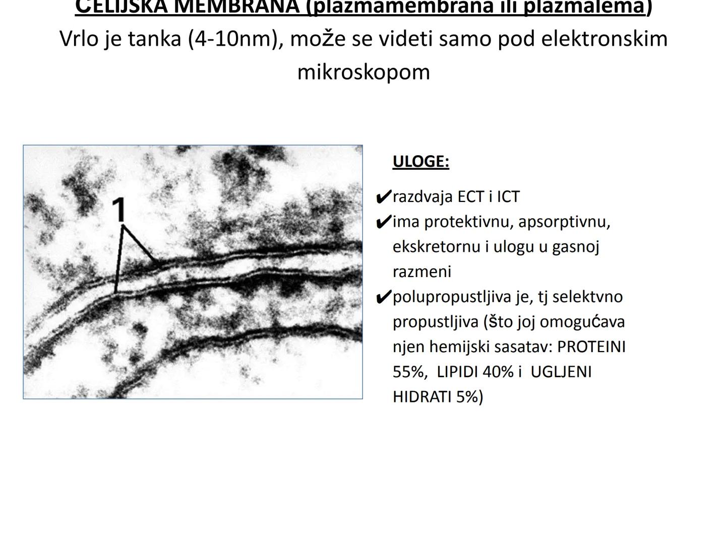 # OPŠTA FIZIOLOGIJA
1. Ćelija (ćelijska membrana)
2. Ćelijski metabolizam
3. Unutrašnja sredina i ćelijske veze
4. Transport kroz ćelijsku