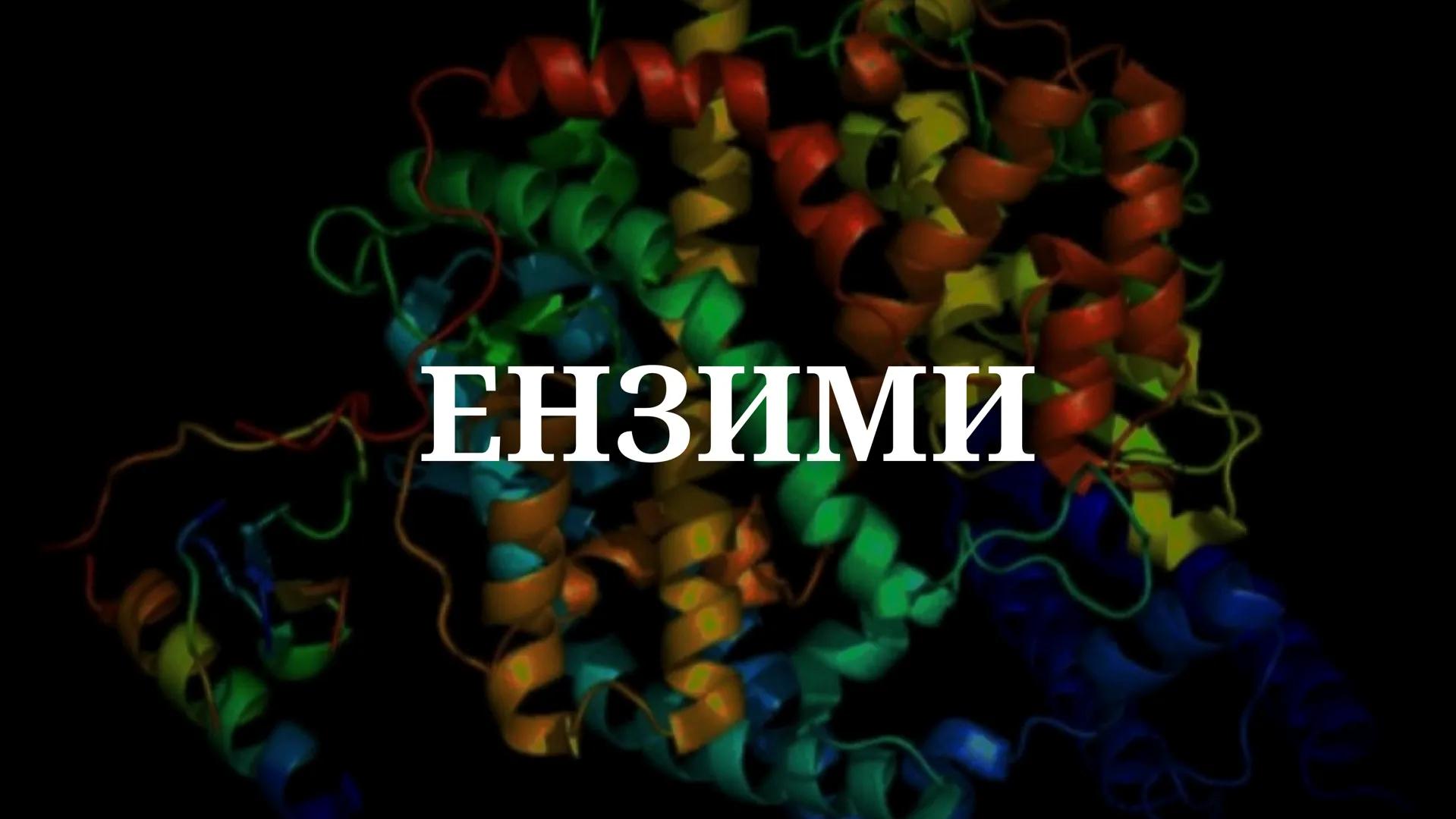 # ЕНЗИМИ # САДРЖАЈ
01 ПОЈАМ И УЛОГА ЕНЗИМА
02 СТРУКТУРА И НОМЕНКЛАТУРА ЕНЗИМА
03 СПЕЦИФИЧНОСТ ЕНЗИМА
04. КИНЕТИКА ЕНЗИМА
05 УПОТРЕБА ЕН