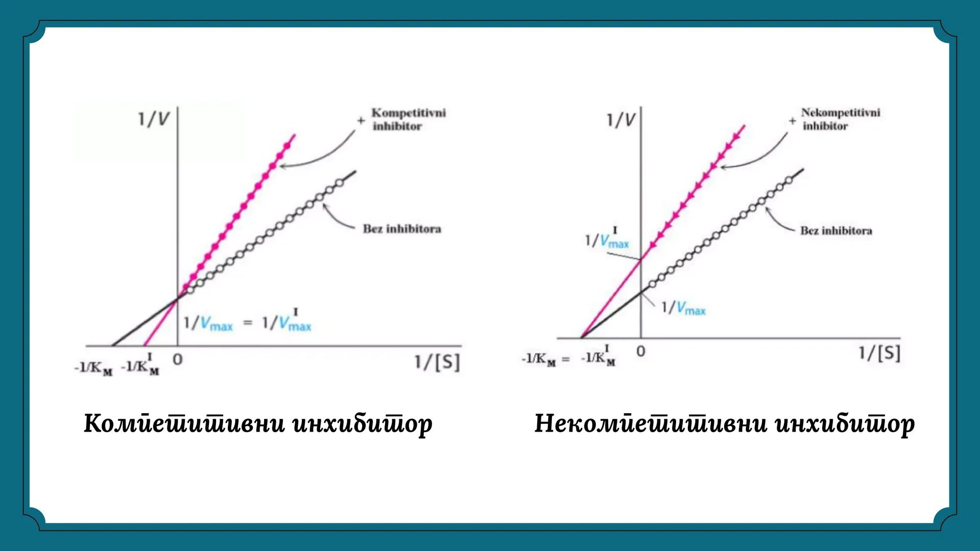 # ЕНЗИМИ # САДРЖАЈ
01 ПОЈАМ И УЛОГА ЕНЗИМА
02 СТРУКТУРА И НОМЕНКЛАТУРА ЕНЗИМА
03 СПЕЦИФИЧНОСТ ЕНЗИМА
04. КИНЕТИКА ЕНЗИМА
05 УПОТРЕБА ЕН