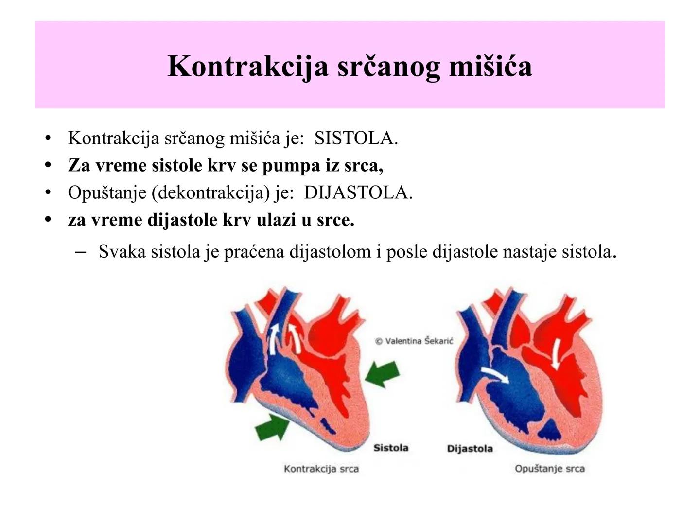 # Fiziologija
Kardiovaskularni sistem
Pulmonary Circulation
Arteries
Veins
Systemic Circulation
Cleveland
Clinic
©2021 # KARDIOVASKULA