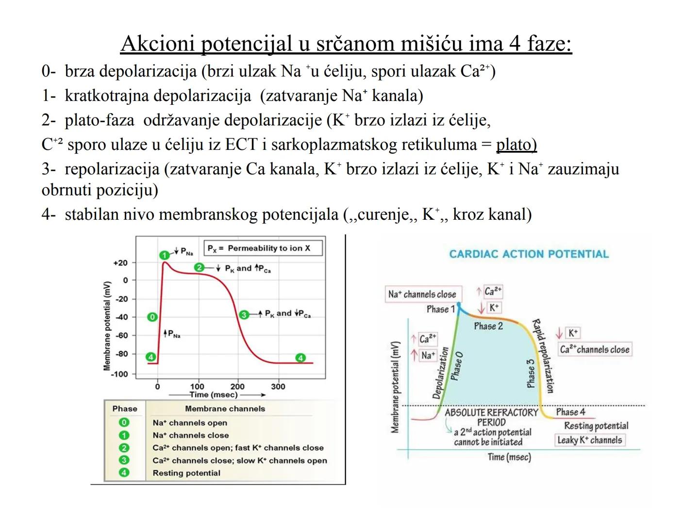 # Fiziologija
Kardiovaskularni sistem
Pulmonary Circulation
Arteries
Veins
Systemic Circulation
Cleveland
Clinic
©2021 # KARDIOVASKULA