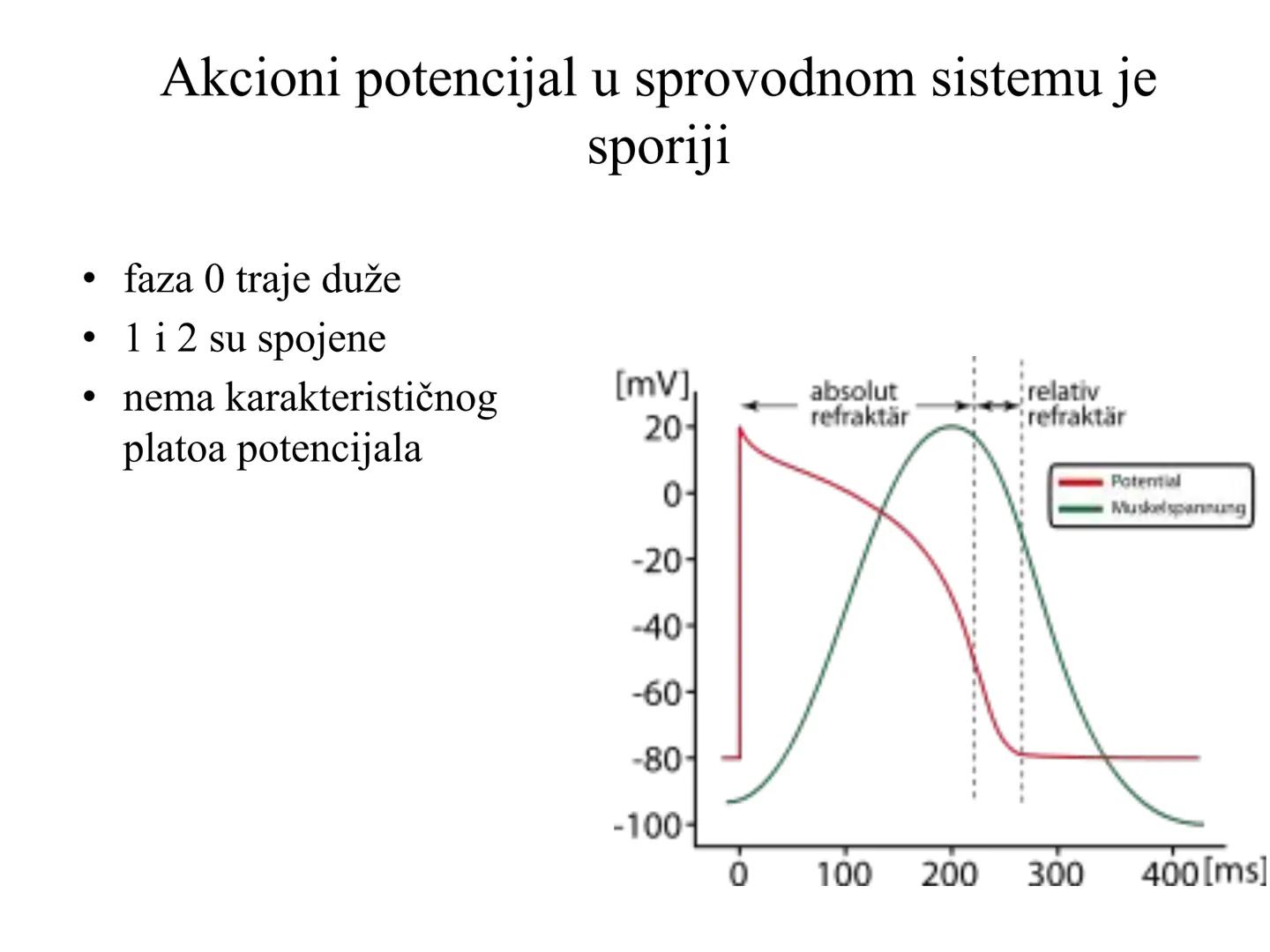 # Fiziologija
Kardiovaskularni sistem
Pulmonary Circulation
Arteries
Veins
Systemic Circulation
Cleveland
Clinic
©2021 # KARDIOVASKULA