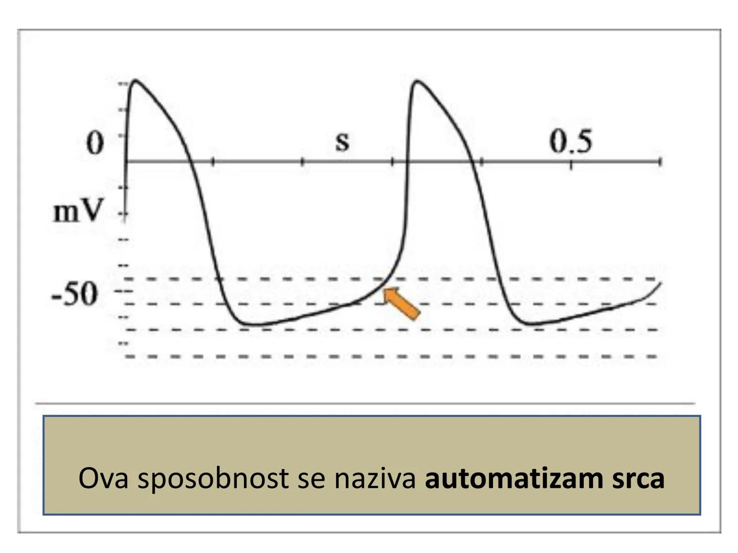 # Fiziologija
Kardiovaskularni sistem
Pulmonary Circulation
Arteries
Veins
Systemic Circulation
Cleveland
Clinic
©2021 # KARDIOVASKULA