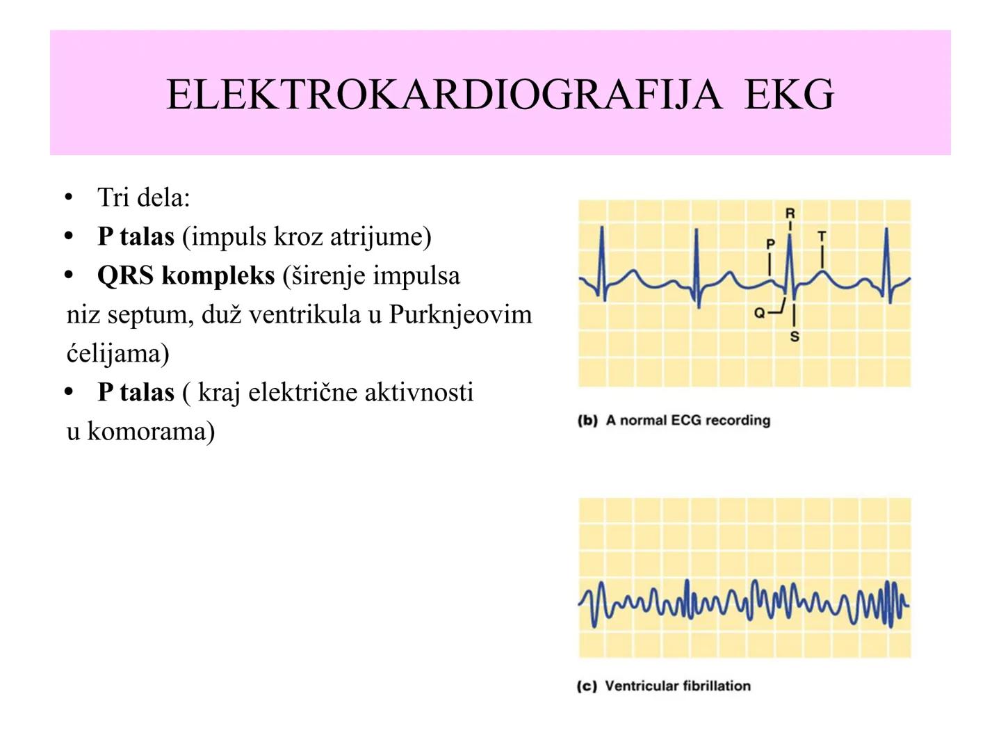 # Fiziologija
Kardiovaskularni sistem
Pulmonary Circulation
Arteries
Veins
Systemic Circulation
Cleveland
Clinic
©2021 # KARDIOVASKULA