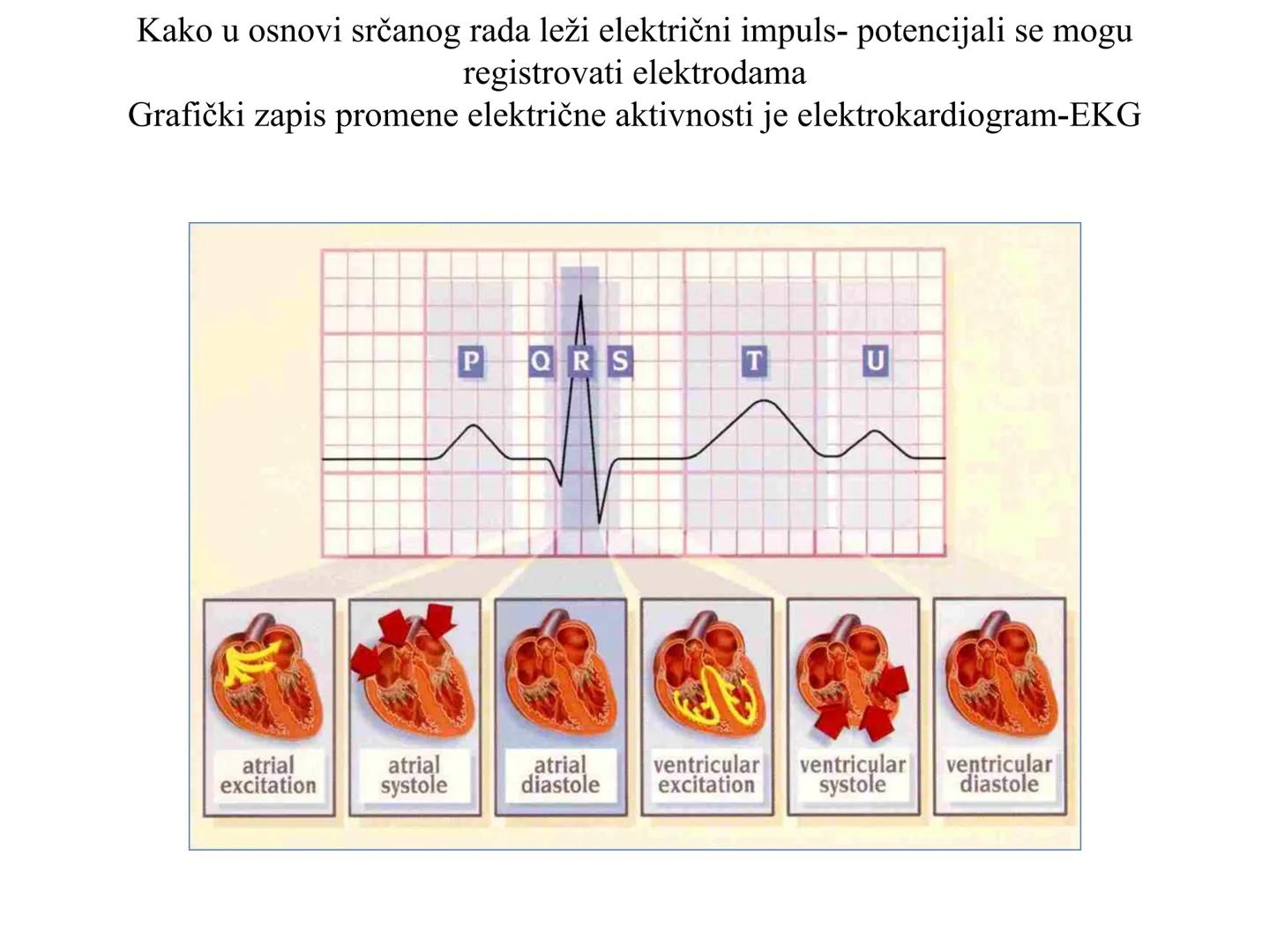 # Fiziologija
Kardiovaskularni sistem
Pulmonary Circulation
Arteries
Veins
Systemic Circulation
Cleveland
Clinic
©2021 # KARDIOVASKULA